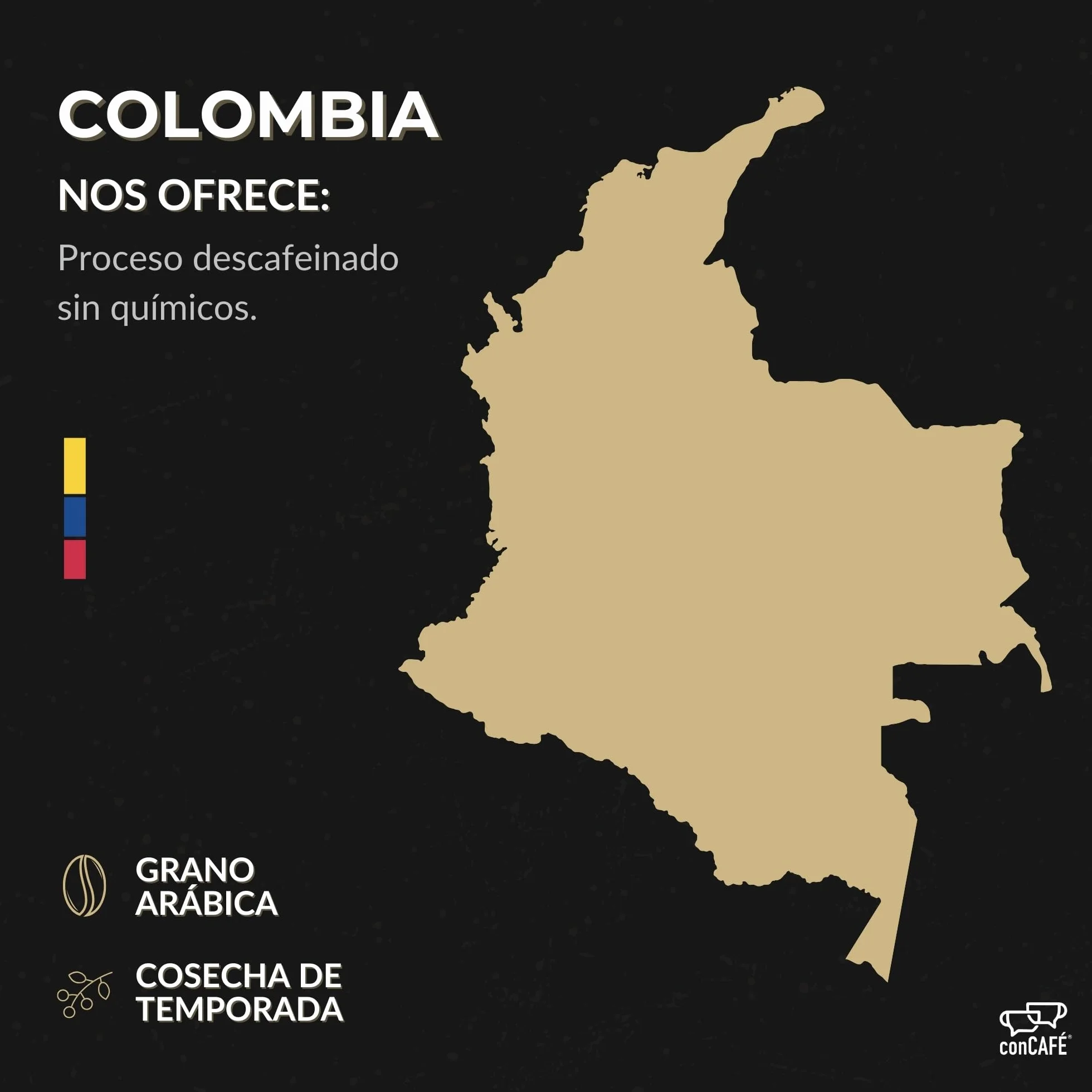conCAFÉ - Café en grano Descafeinado al agua sin químicos y certificado por Swiss Water | Colombia | 100% Arábica | Specialty Coffee +80 puntos | Tueste Natural y Artesanal | Paquete 500g