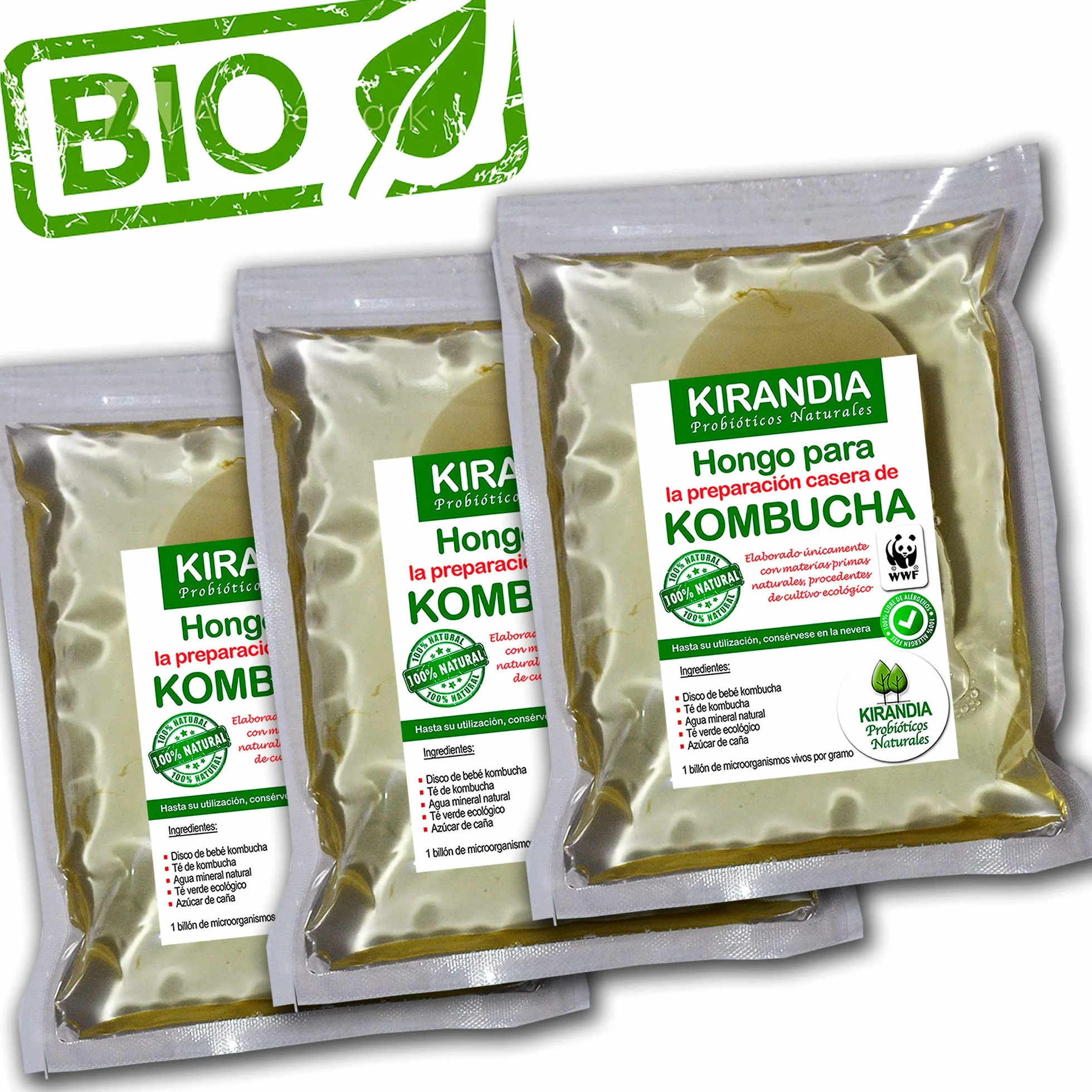 3 x BEBÉ KOMBUCHA FRESCO, SCOBY KOMBUCHA - Con Registro Sanitario (RGSEAA) - Elabora Tu Propio Té de Kombucha Biológico en Casa