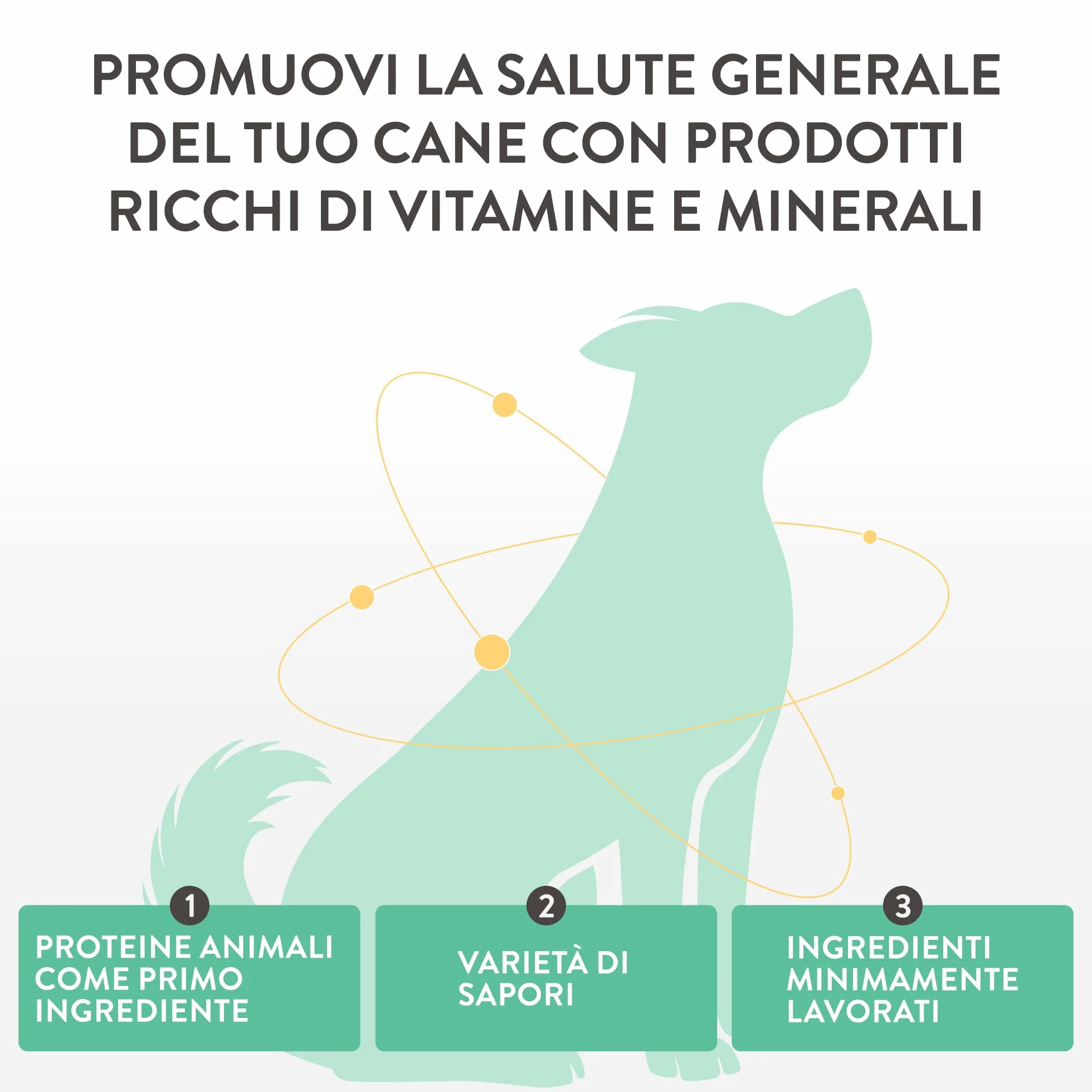 Schesir Taste The World Agnello con Cous Cous 8X150g