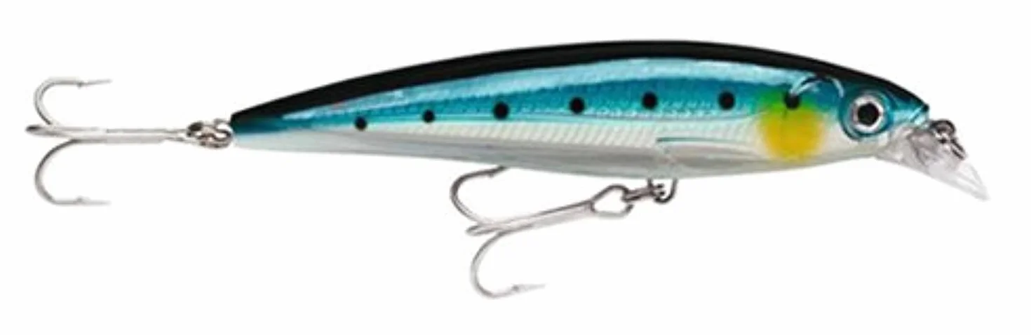 Rapala X-Rap Señuelo de Pesca de Agua Salada