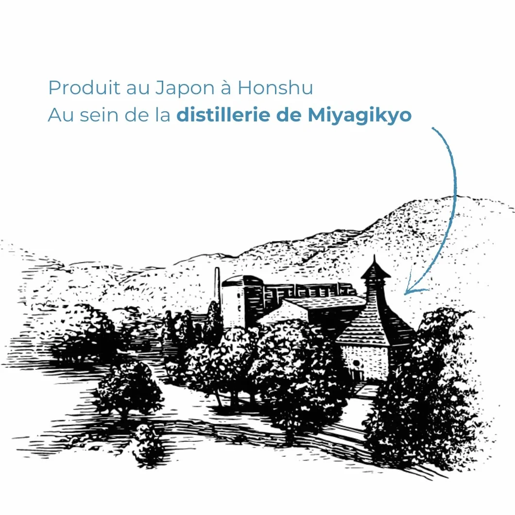 Nikka Vodka Coffey Vodka 40º - 700 ml