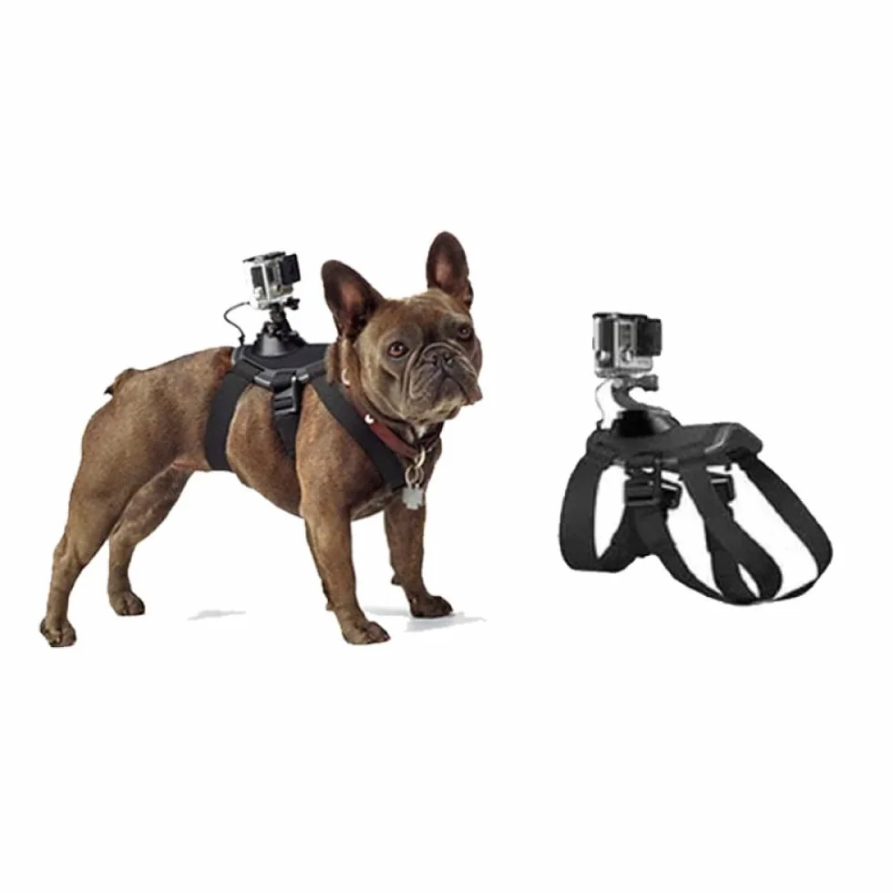 Arnés para Perros Gopro, Ajustable para Grandes, Medianos y Pequeños - Fijación en Pecho y Espalda
