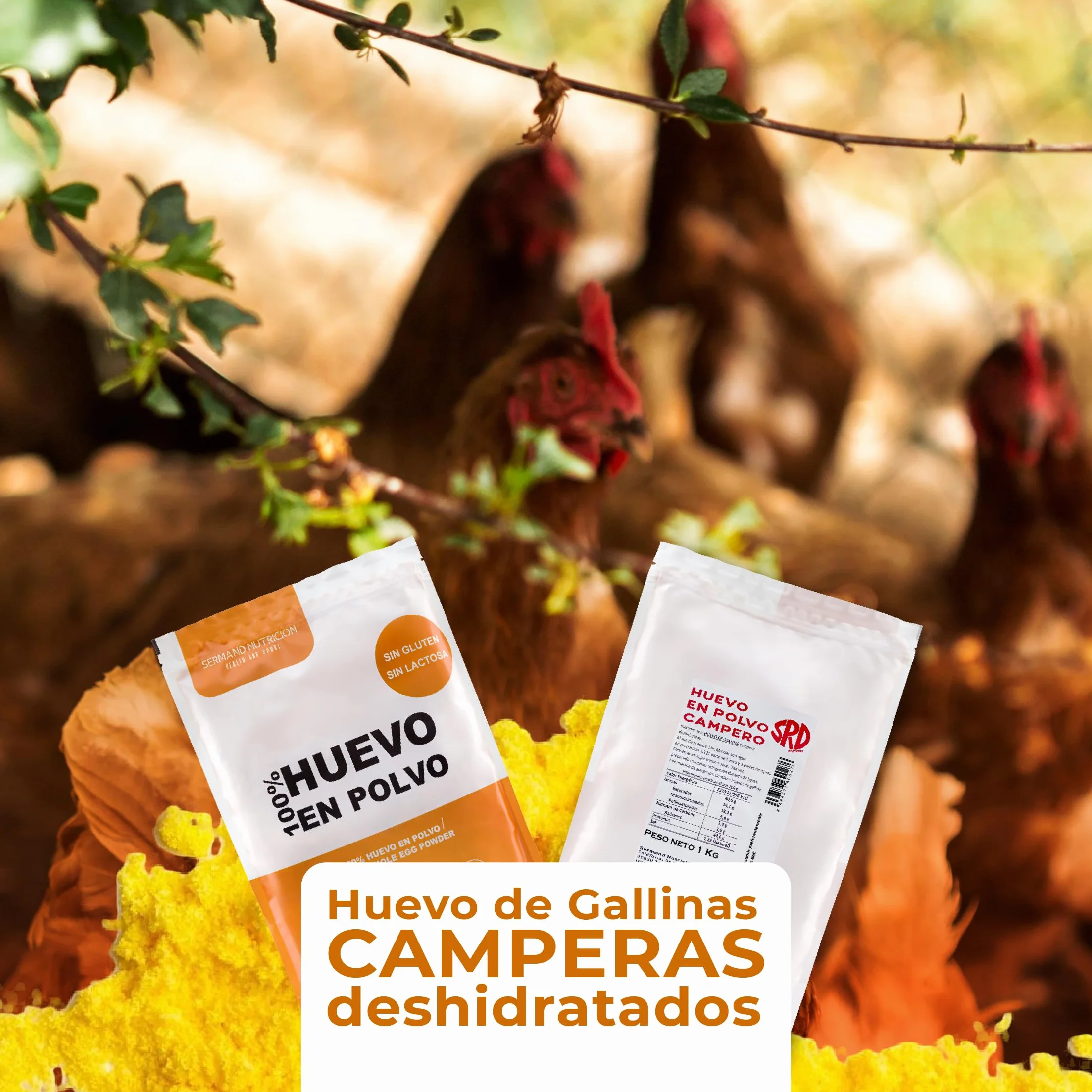Huevo en Polvo Campero 1kg | Huevos Pasteurizados Sin Gluten | Huevo Deshidratado Sin Aditivos