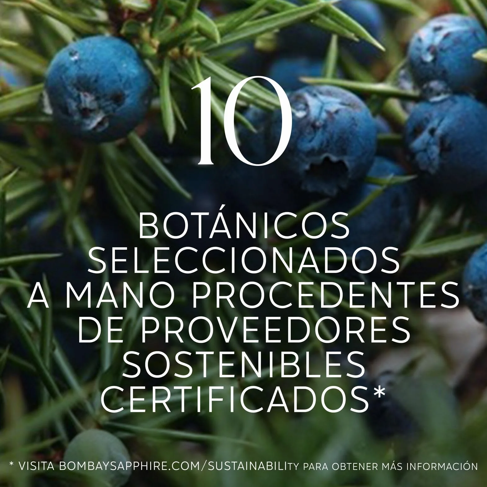 Bombay Sapphire London Dry Gin, 40% Vol., 100 cl / 1 L, bebida espirituosa 100% infusionada al vapor con 10 botánicos seleccionados a mano