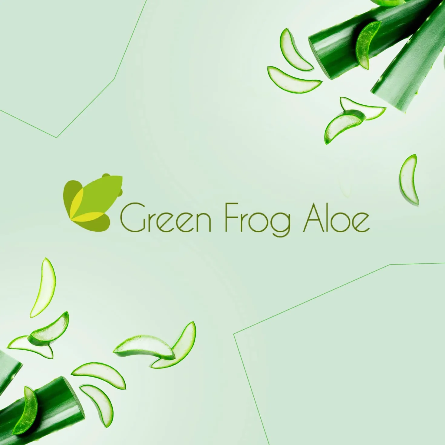 Green Frog - Bebida de Aloe Vera Puro con Pulpa (99,8%) - 1 Litro - Certificado Bio Europeo - 100% Ecológico - Libre de Aloínas y Azúcares - Rico en Vitaminas y Aminoácidos