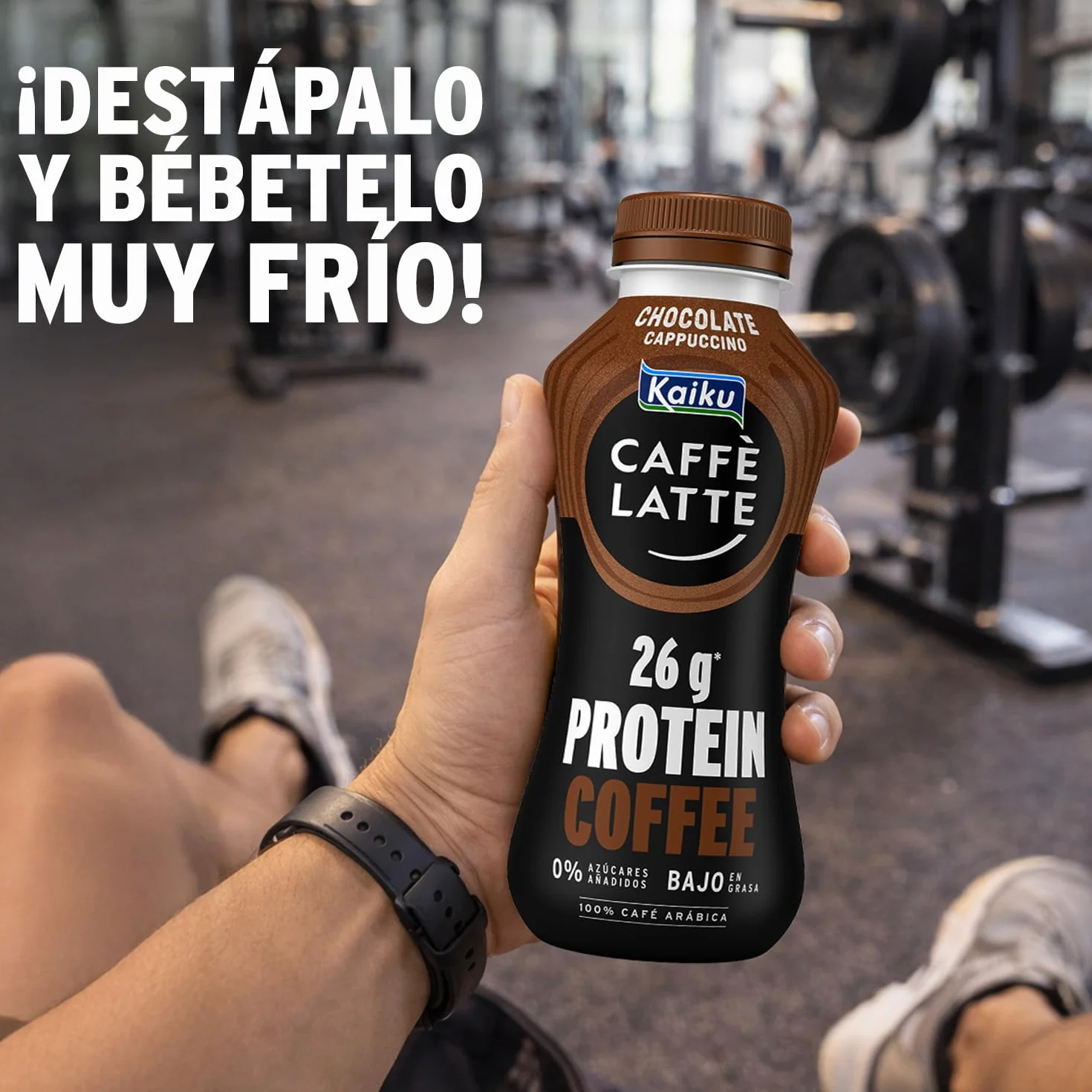 KAIKU CAFFÈ LATTE - Protein Coffee Chocolate Cappuccino 330 ml, Café Frío, Listo para Tomar, 26 g de Proteína por Ración, Café Arábiga, sin Azúcares Añadidos, Bajo en Grasa, sin Gluten y con Lactosa