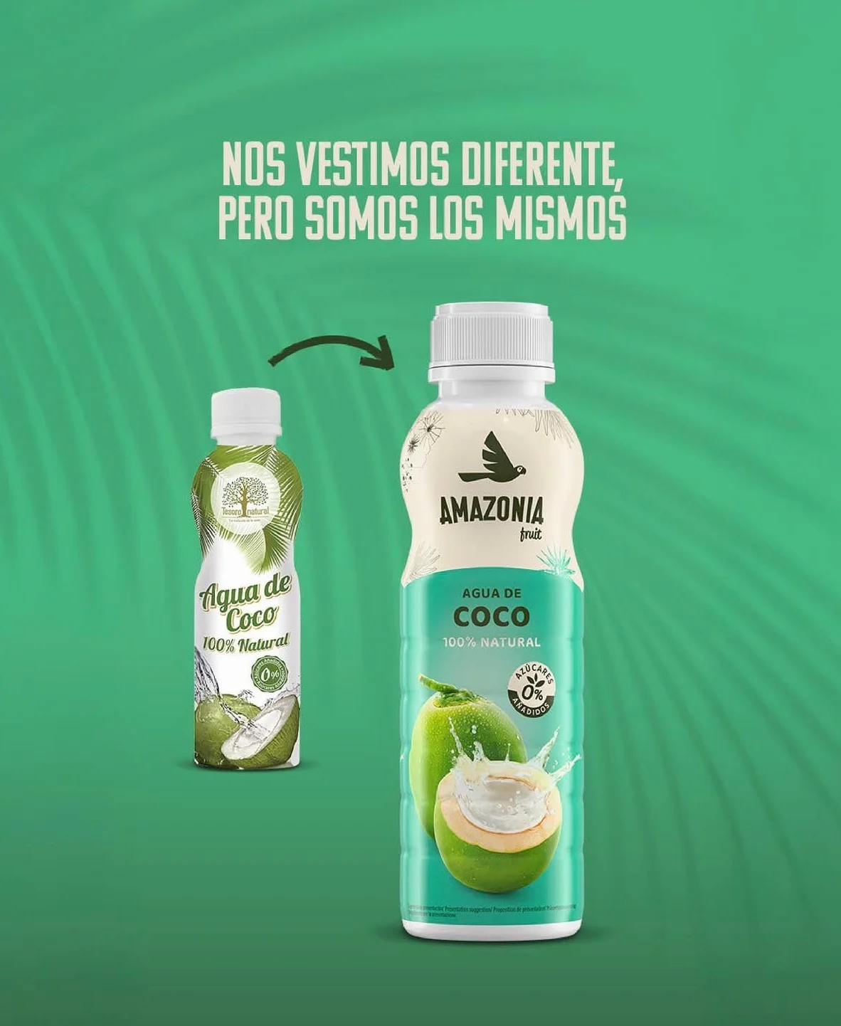 Tesoro Natural Agua de Coco 100% Natural, Pack de 12 Latas, 500 ml