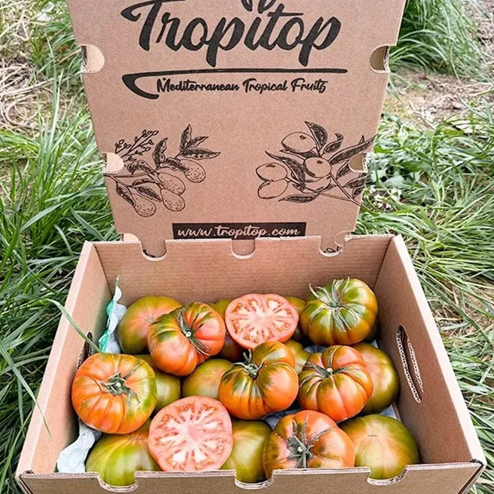 Tomate Raf 4 Kg frescos de temporada cultivados en España