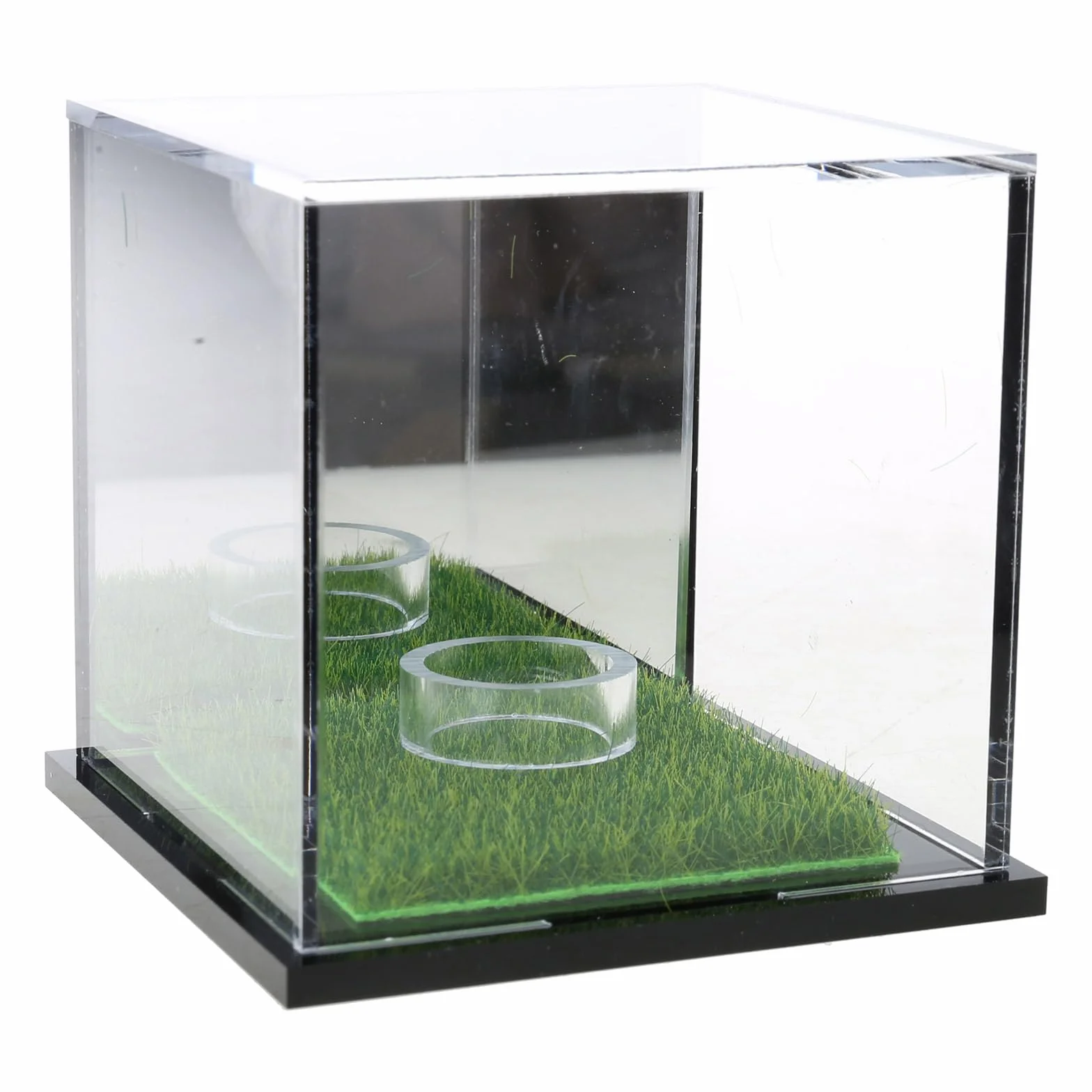 Soporte transparente para pelotas de golf, caja de exhibición para golf, béisbol