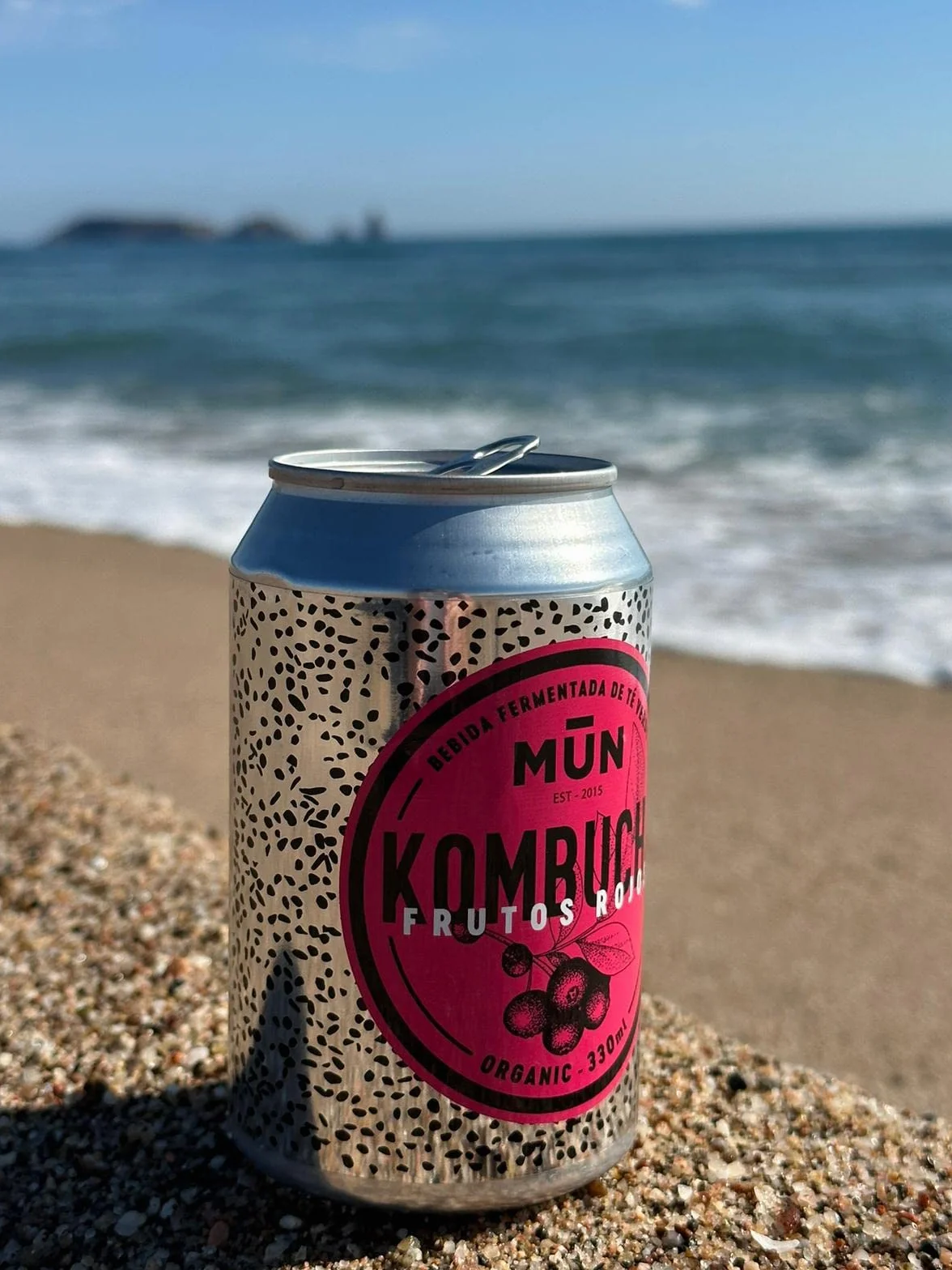Mūn Ferments Té Kombucha Pack 12x330ml - Bebida Ecológica Con Probióticos - Té Kombucha Jengibre Y Limón-Sin Azúcar Y Baja En Calorías-Latas Libres De BPA-Infusión Fermentada Artesanal-Libre De Gluten