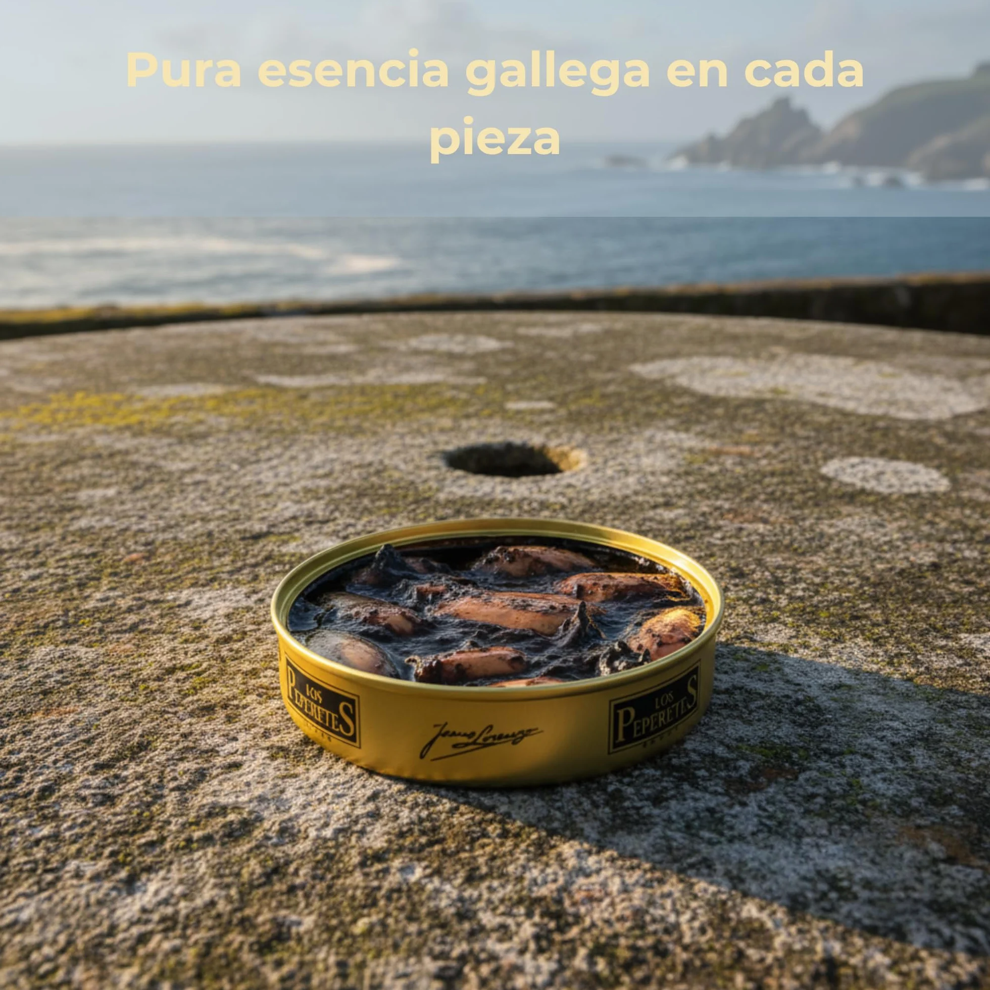 Chipirones en su Tinta 120 g Marisco Gallego Gourmet Conserva Artesanal del Atlántico
