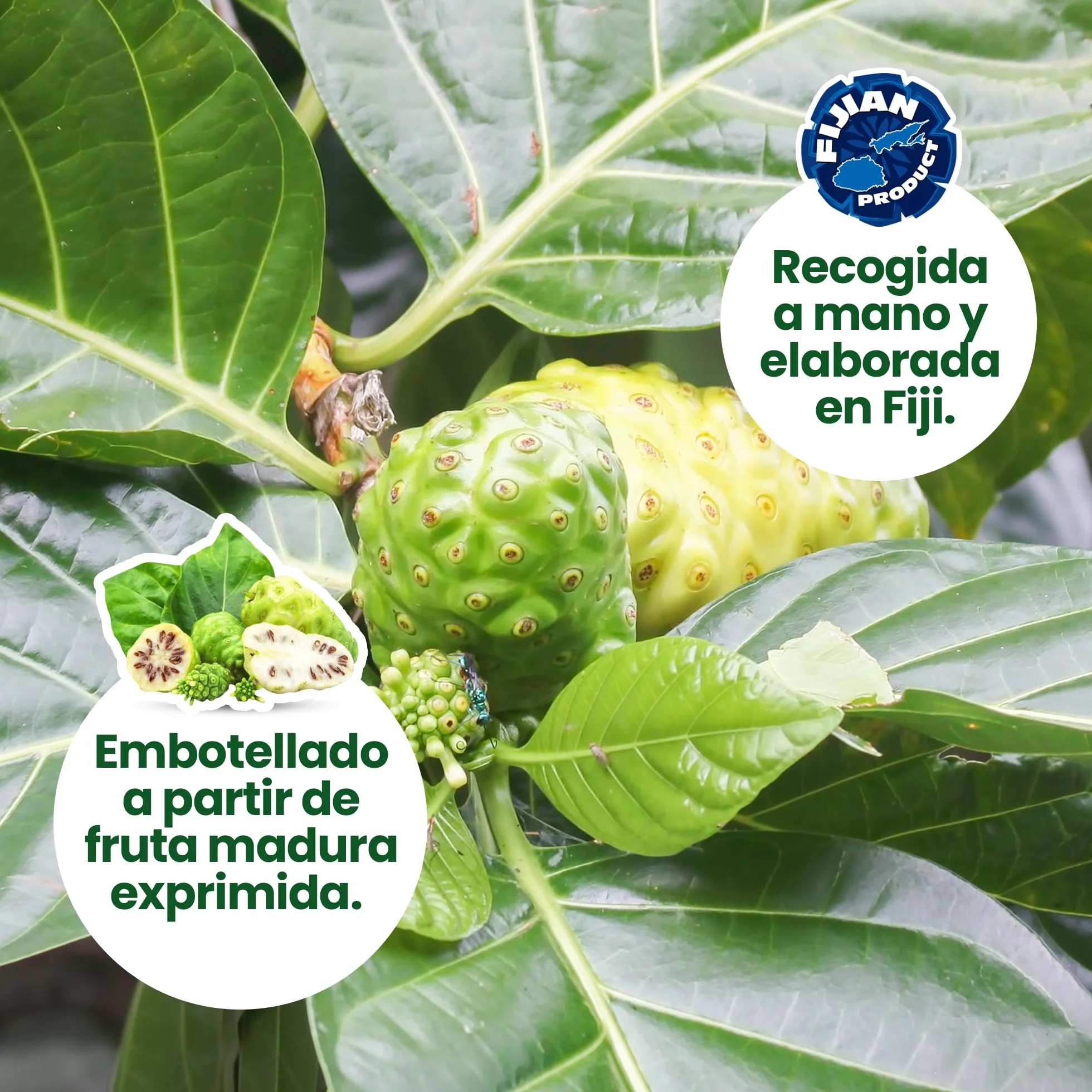 Zumo de Noni - 1 Litro. 100% Puro y Orgánico sin conservantes - Ayuda cuando hay inflamación, dolor y potencia el sistema inmune.