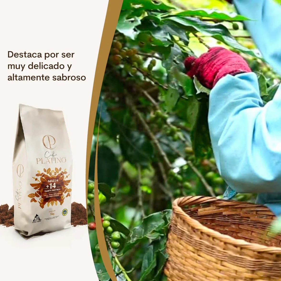 Café Platino - Café Molido de Colombia Excelso Tostado 1Kg - 100% Arábica - Malla +14 Barista Selection