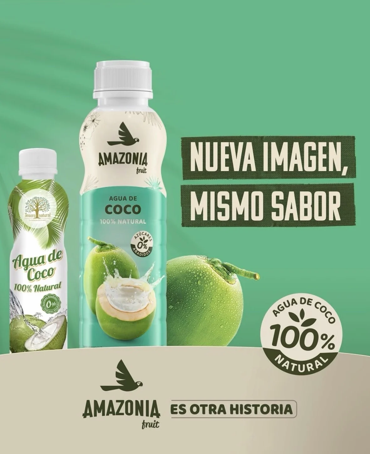 Tesoro Natural Agua de Coco 100% Natural, 12 Latas, 500 ml