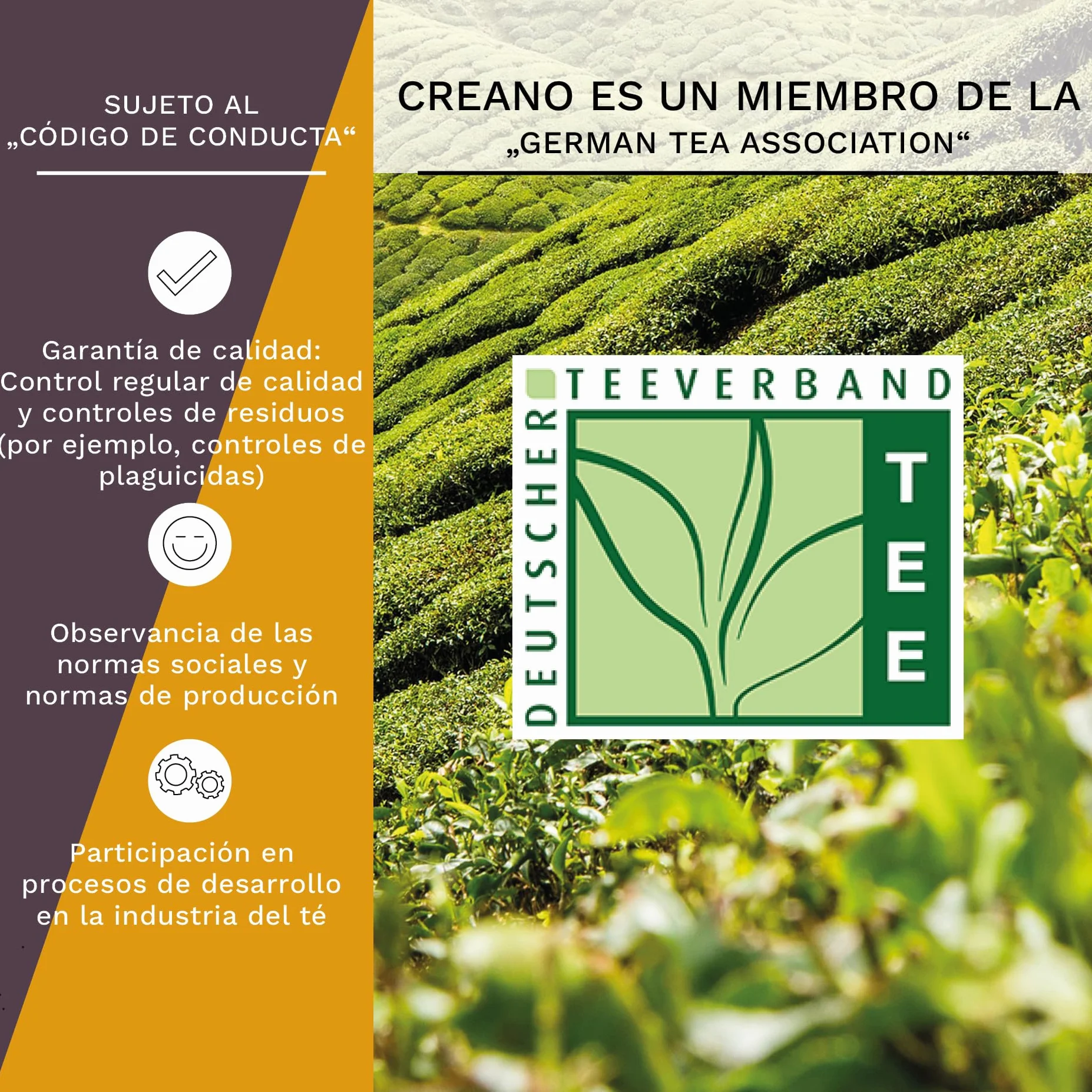 Creano Teelini Flores de Té Blanco y Negro 12 uds Cofre de Madera Sostenible 8 Variedades Regalo Premium Mujer