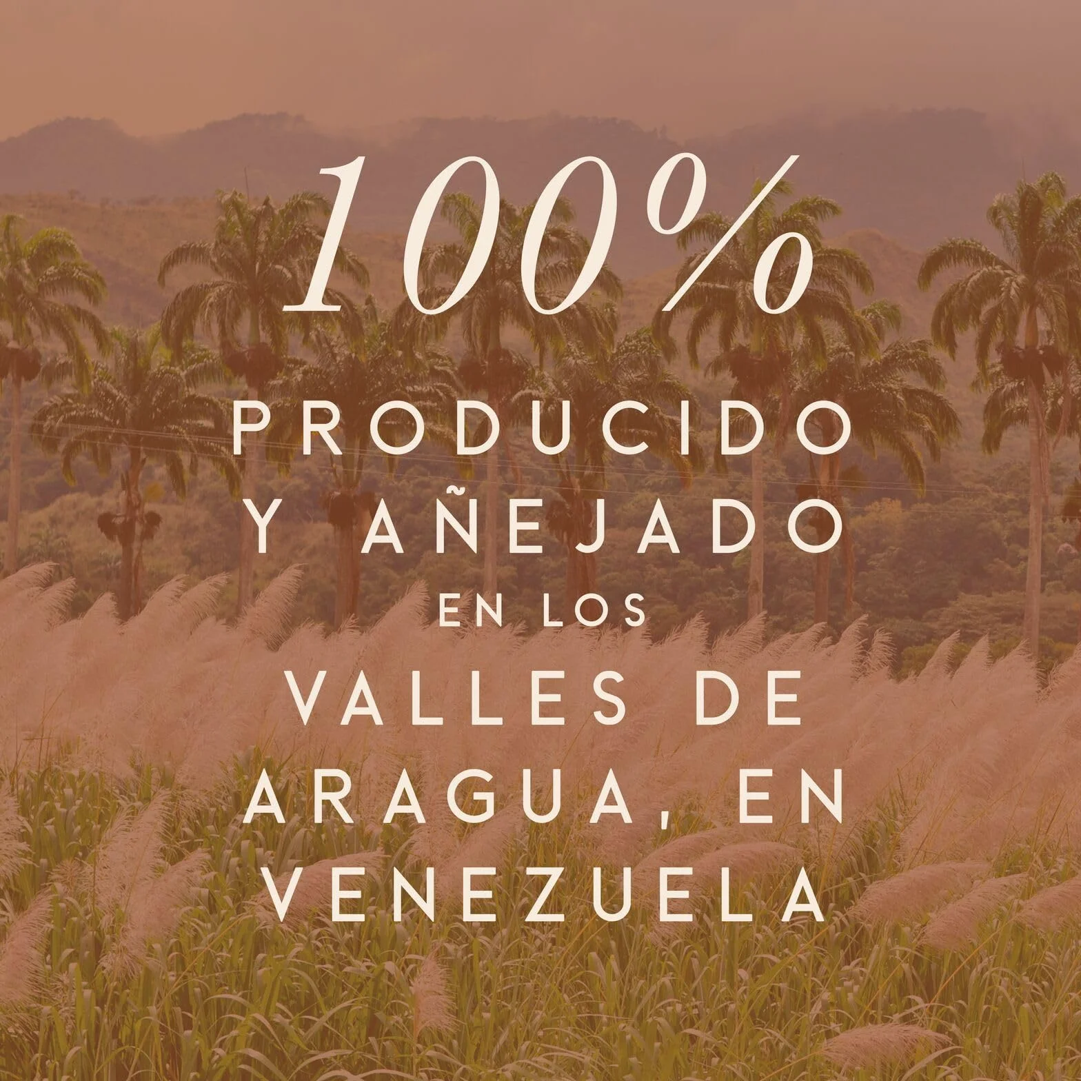 Ron de solera con triple añejamiento Santa Teresa 1796, 40 % vol., 70 cl / 700 ml, ron oscuro venezolano super premium Single State acabado en barricas de roble