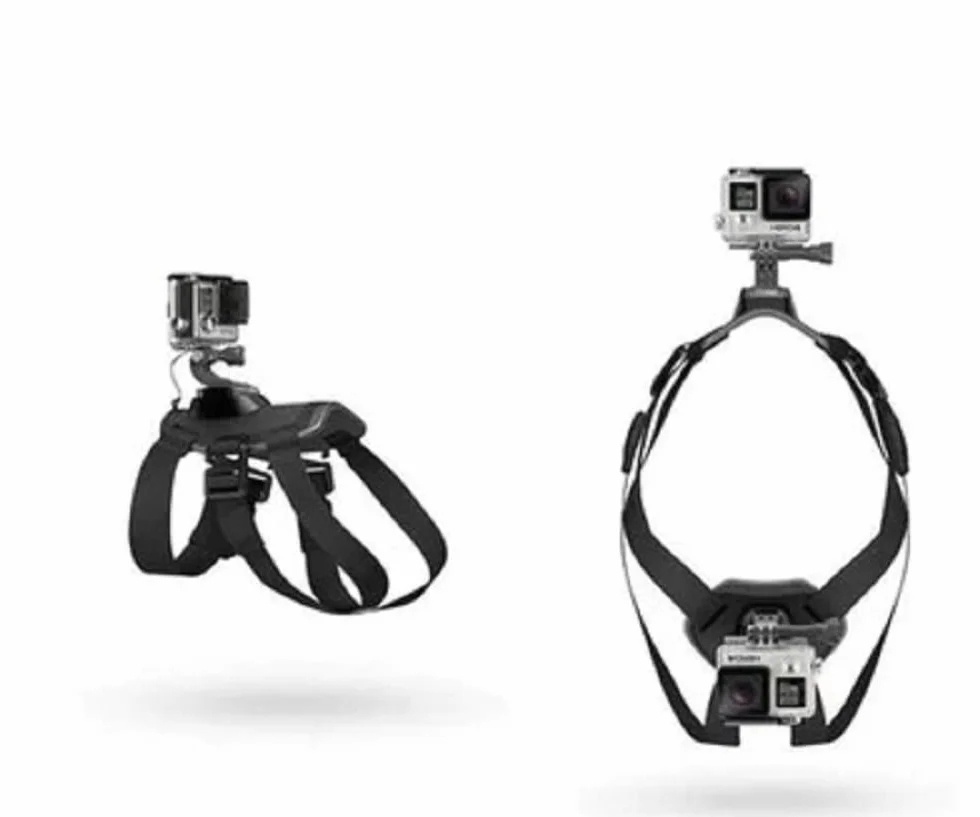 Arnés para Perros Gopro, Ajustable para Grandes, Medianos y Pequeños - Fijación en Pecho y Espalda