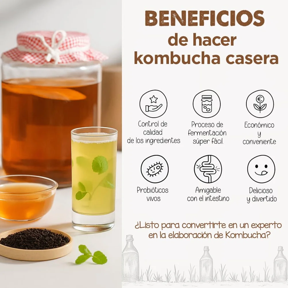 Pack 2X Disco SCOBY Kombucha Fresco + Instrucciones + Recetas + Ayuda y Asesoramiento en español - OH MY KÉFIR