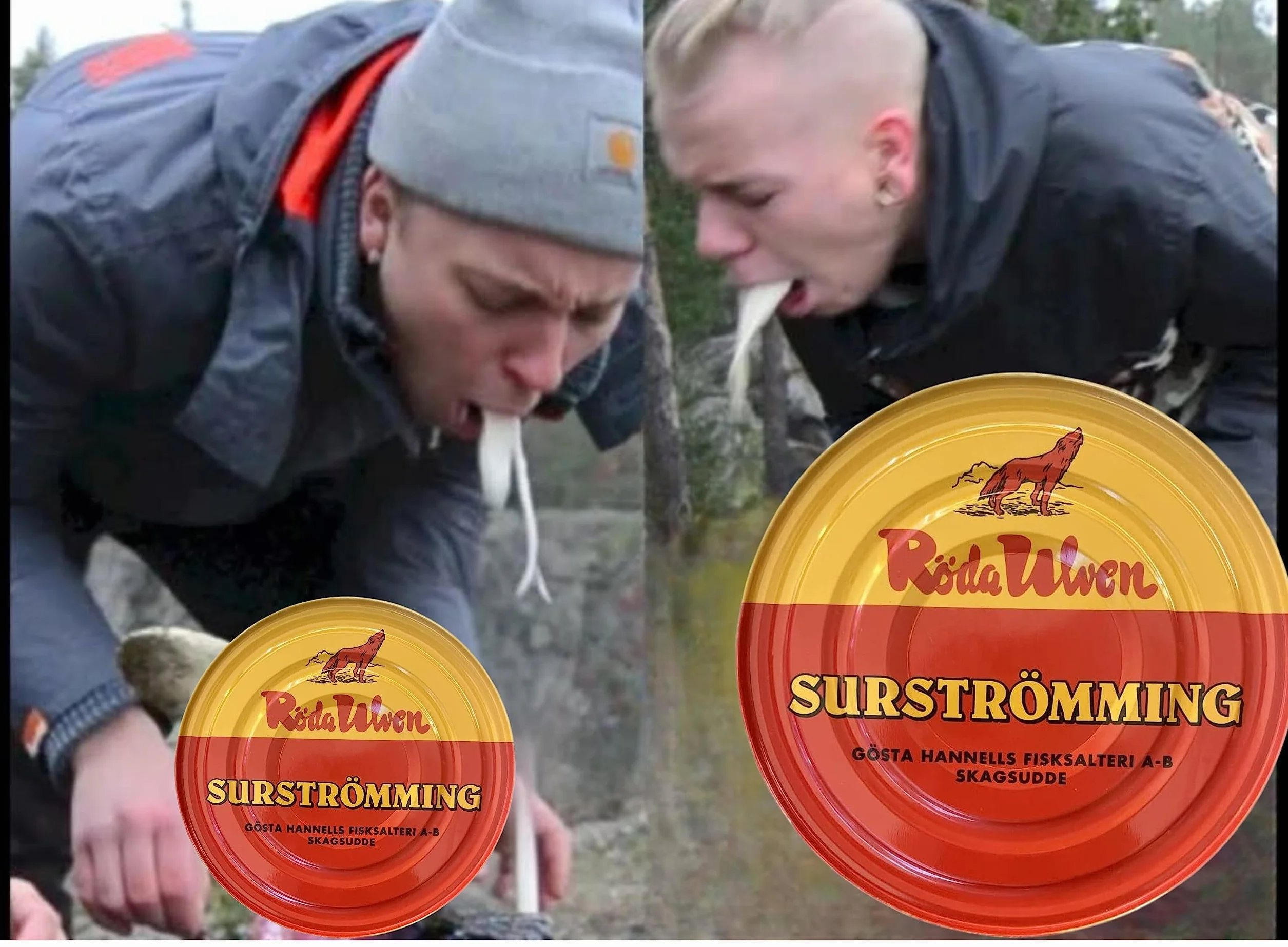 Röda Ulven Surströmming Arenque Fermentado 300g Lata Especialidad Sueca