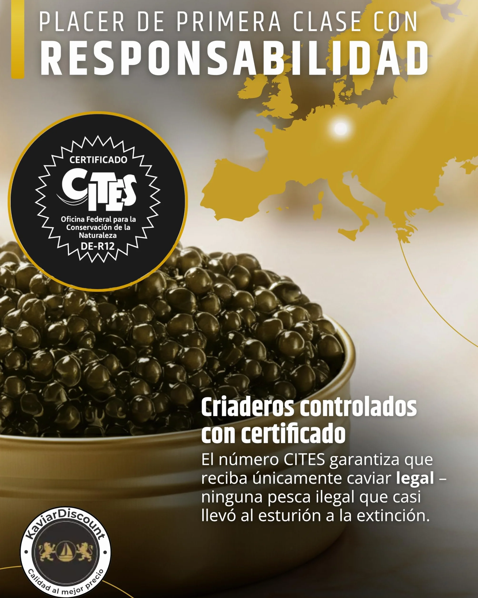 Sepehr Dad Amur Beluga Sturgeon Caviar Premier | cría NC | 125 gramos