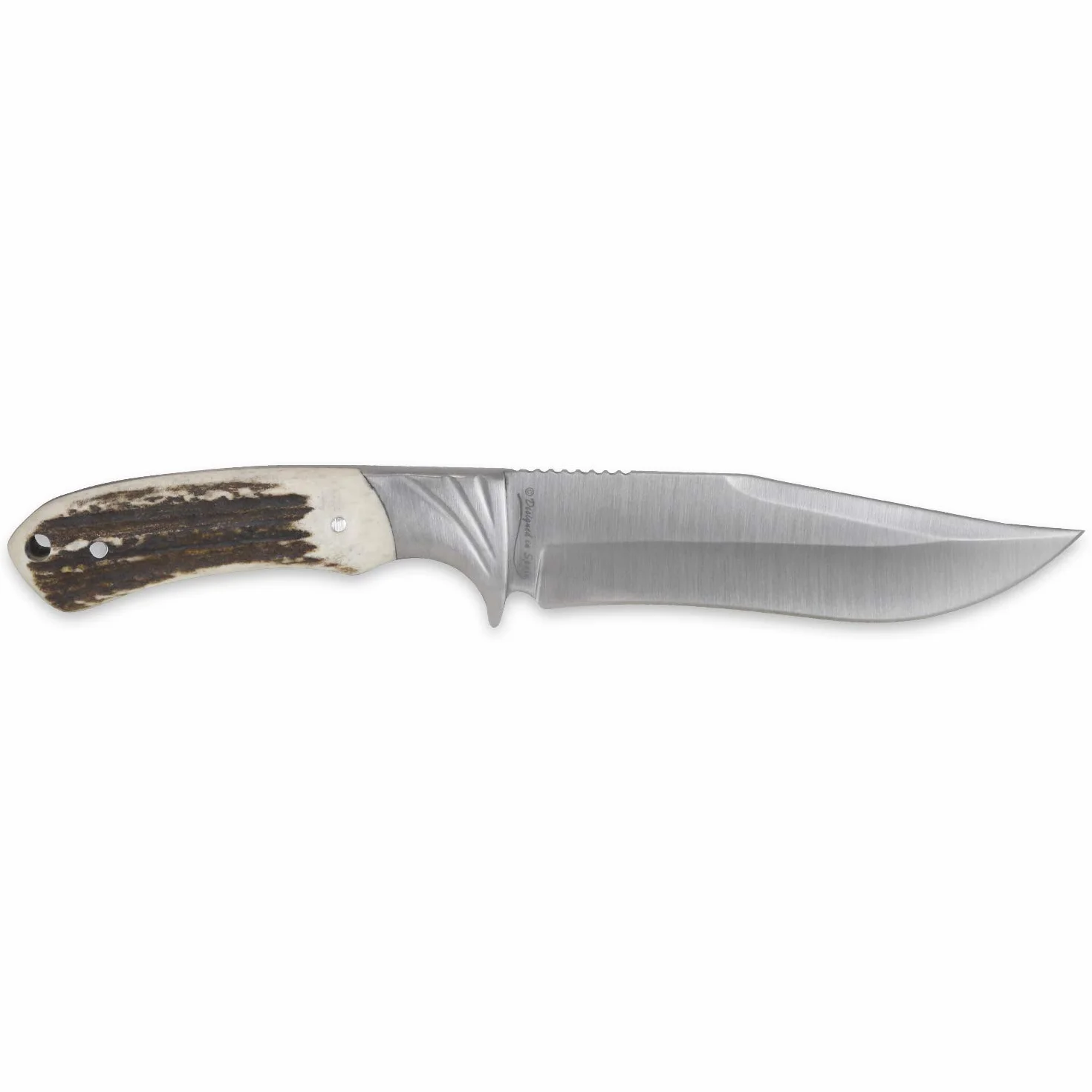 iFIELD Cuchillo de caza Camper EL29013 26 cm hoja 14 cm 3,8 mm funda de piel marrón