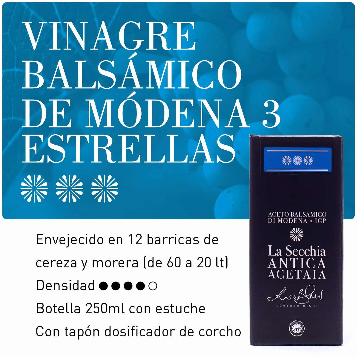 La Secchia - Aceto Balsámico de Módena IGP "Tres Estrellas", madurado en 12 barricas de Cerezo-Morera, densidad media, botella de 250 ml con tapón dosificador de corcho.
