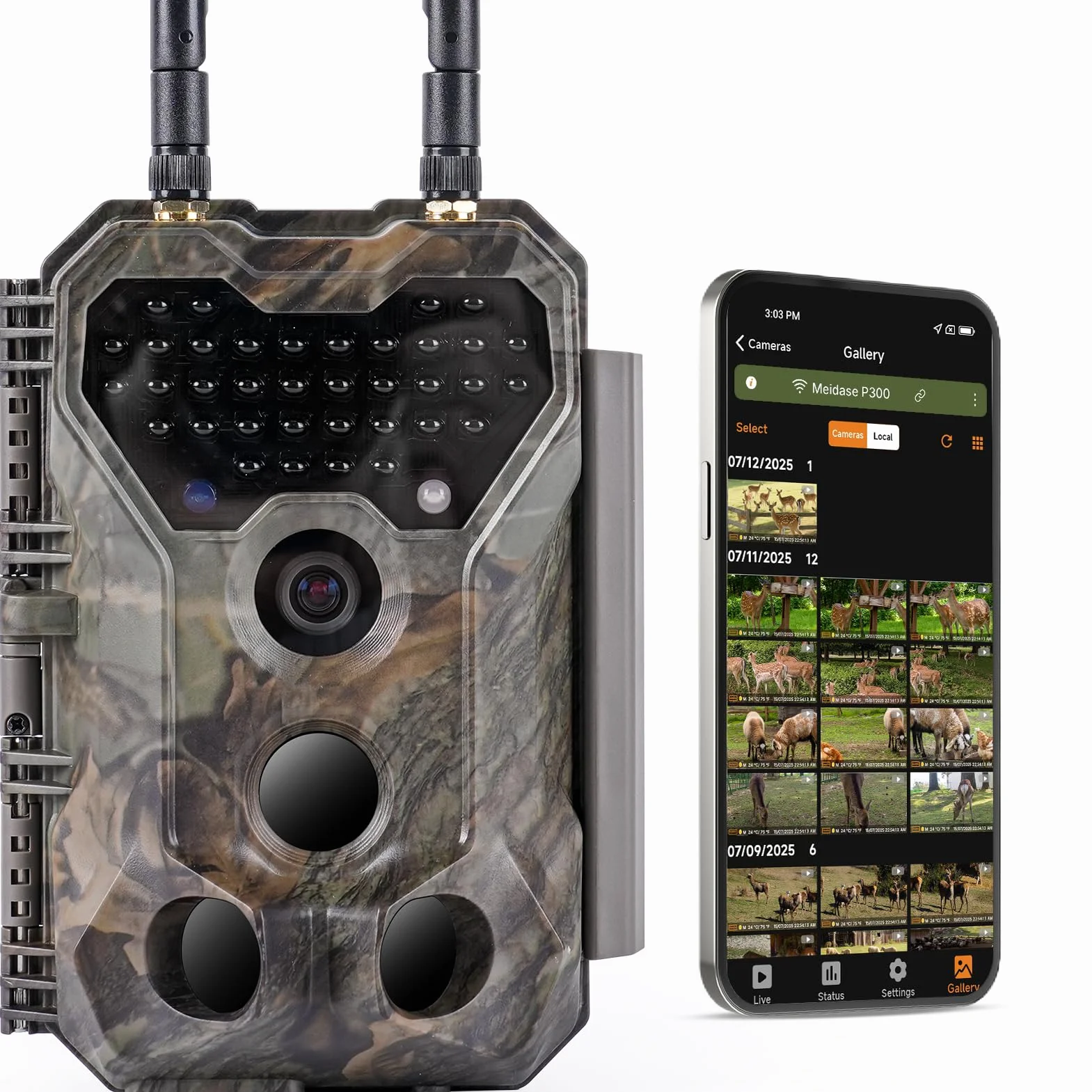 Meidase P300 Cámara de Caza WiFi Bluetooth 50m Alcance 64MP 1296p Visión Nocturna IP66 Impermeable