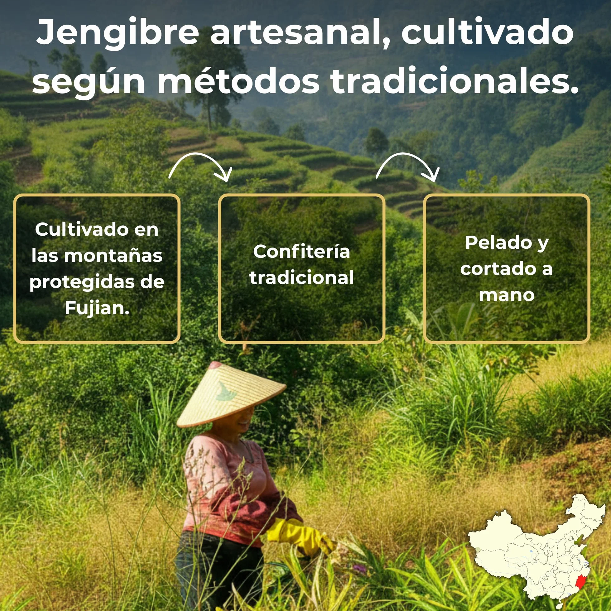 [MA] bio-épicerie | Jengibre confitado BIO en cubitos | 870G | Suelto en confección | Certificado ecológico | Fruta confitada
