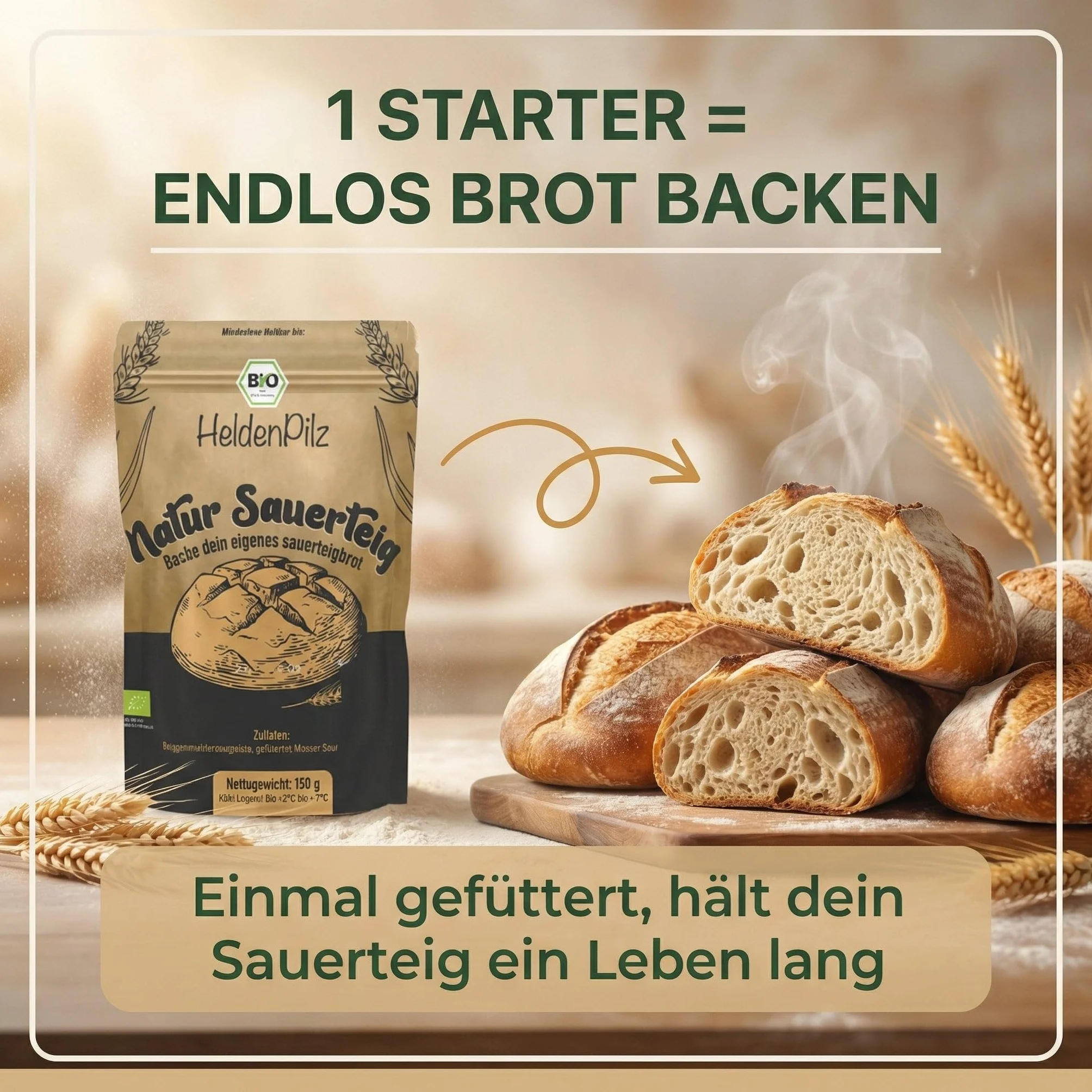 HeldenPilz | Masa agria orgánica fresca | Set para hornear pan + regalo | hacer pan crujiente tú mismo, incluye instrucciones y recetas, ingredientes 100% naturales (centeno para iniciar la levadura