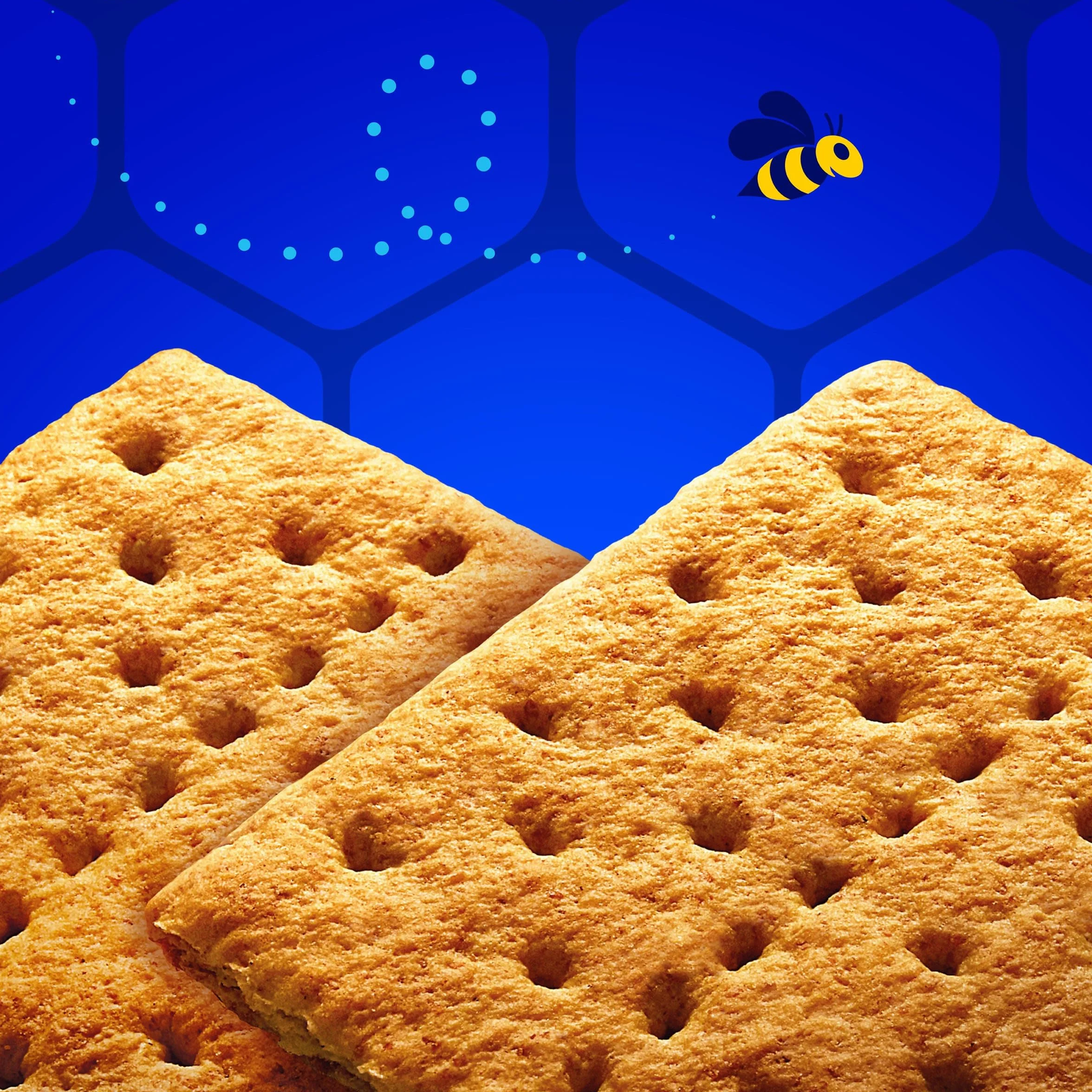 None Honey GrahaNone Crackers, 14.4 oz
