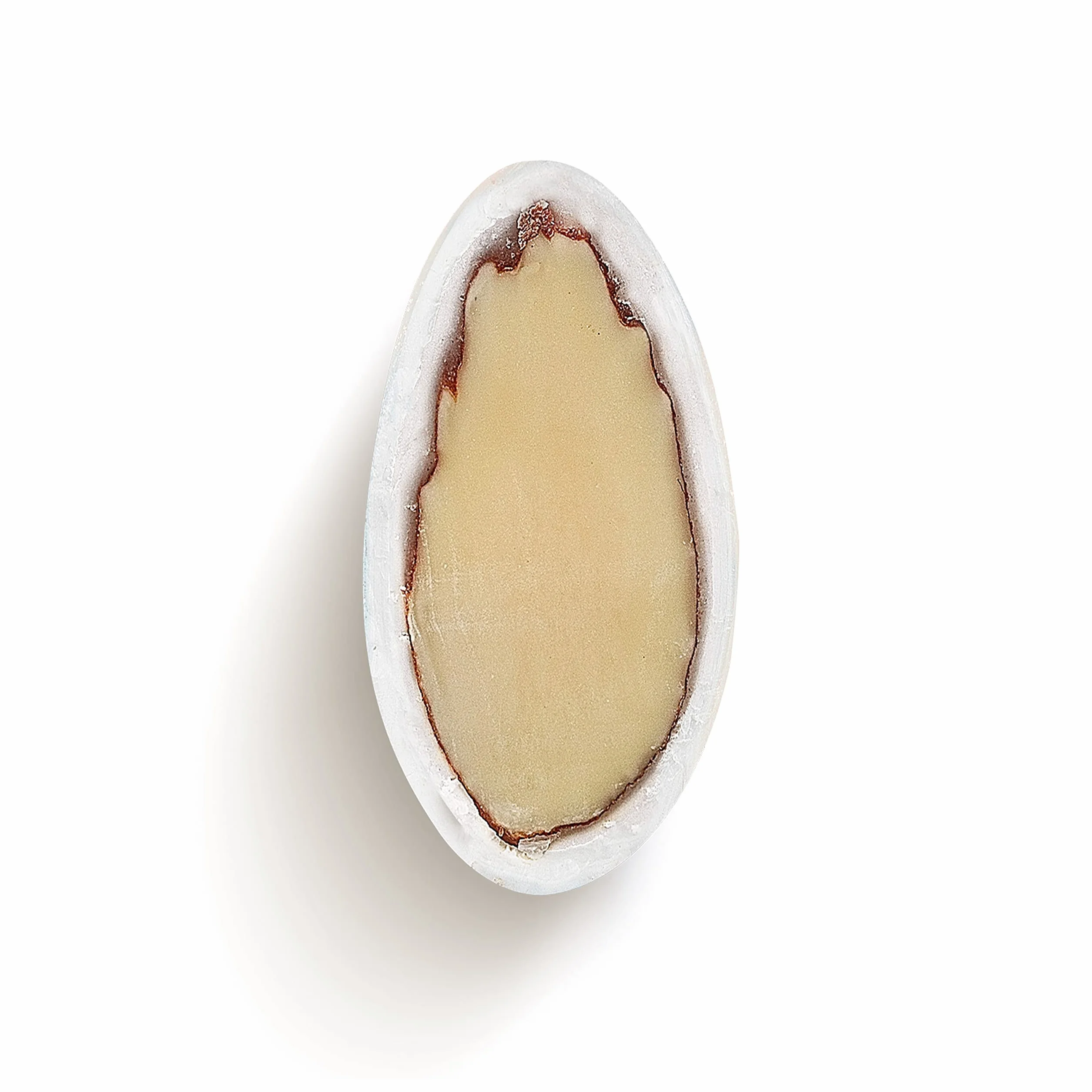 EinsSein Peladillas de Almendra Conchiglia Blanco perla 1kg | 250 pieza Confeti Dulce para Fiestas | Grageas para Boda Bautizo y Comunión | Cumpleaños y Eventos