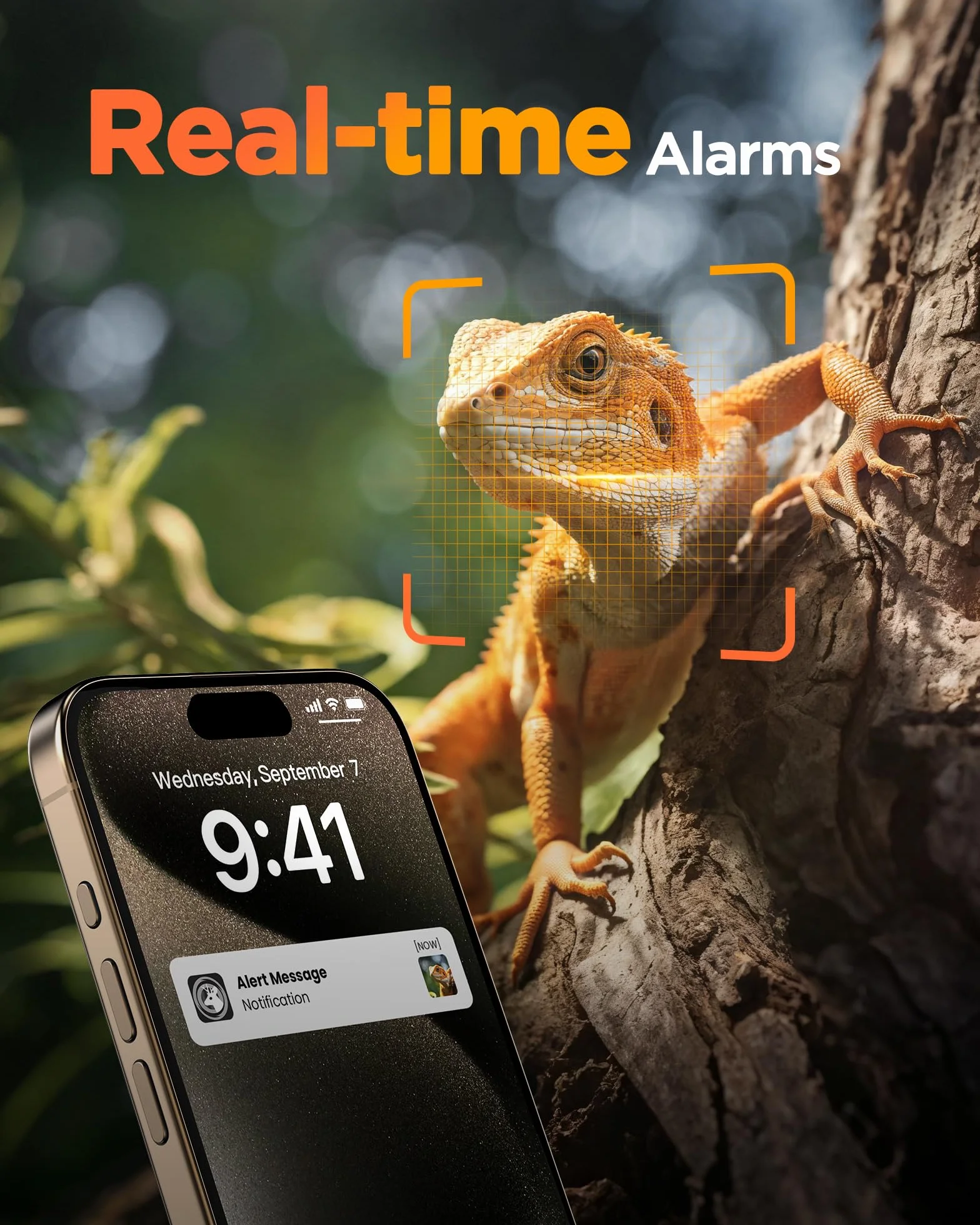 BECAMSO 4G LTE Cámara de Caza Solar 2.7K HD Visión Nocturna Color 8000 mAh IP66 Impermeable
