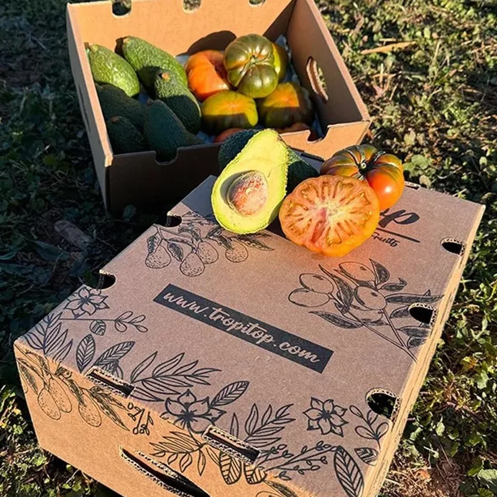 Caja de aguacates hass y tomate raf | 2 kg de Aguacates Hass y 2 kg de Tomate Raf, frescos y naturales, cultivados en Castellón (España), sin químicos y enviados directamente del campo a tu casa
