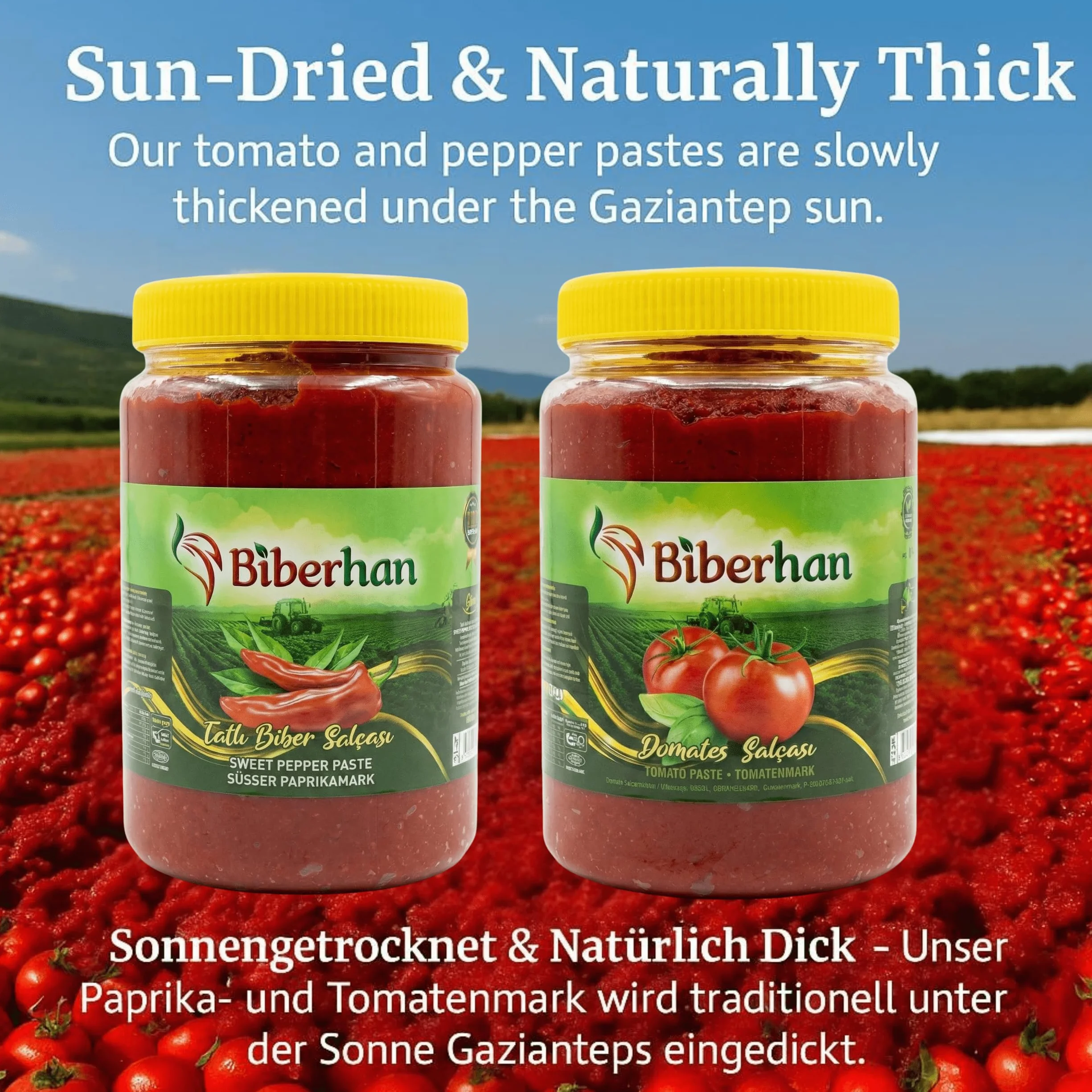 Premium Pasta de Tomate 1000g – Secado al Sol en Gaziantep (Ciudad UNESCO) – Natural, Concentrada, Sin Aditivos, Sabor Intenso y Tradicional