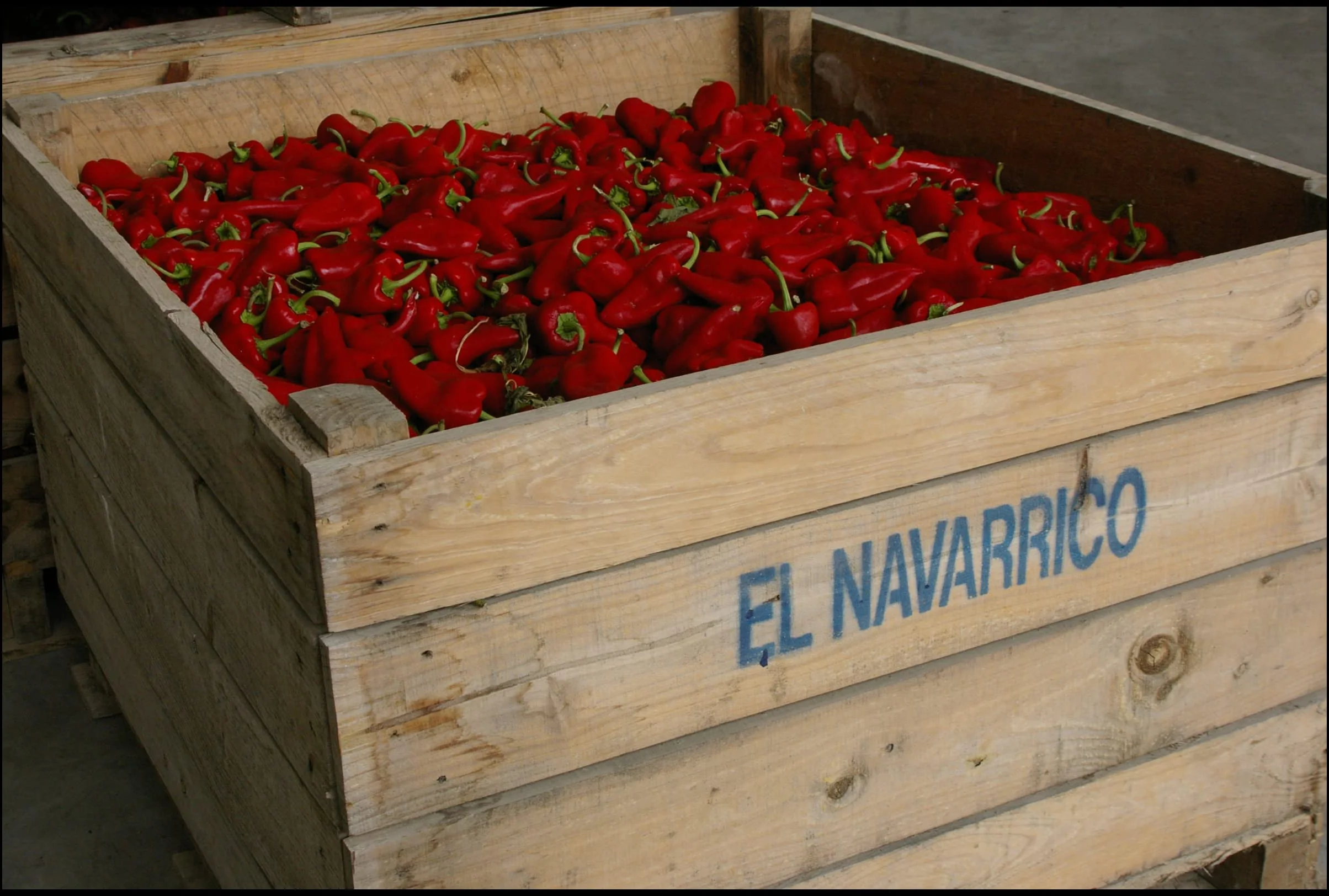 El Navarrico - Pimientos del Piquillo de la Denominación de Origen Lodosa | Agricultura Tradicional | Naturales y Frescos | Pack de 6 (220 gr - tarro)