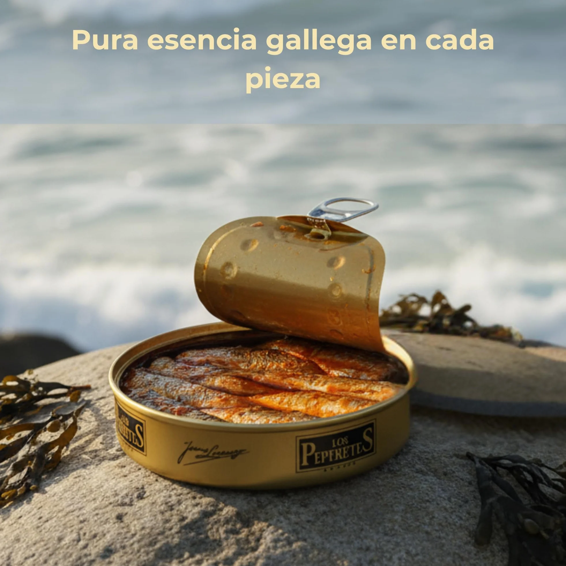 LOS PEPERETES x3 Lata Sardinillas en Escabeche 120 g | Sardinas Pequeñas Gourmet Gallegas | Conserva Artesanal en Aceite de Oliva y Vinagre | Pescado Azul del Atlántico | Sabor Tradicional de Galicia