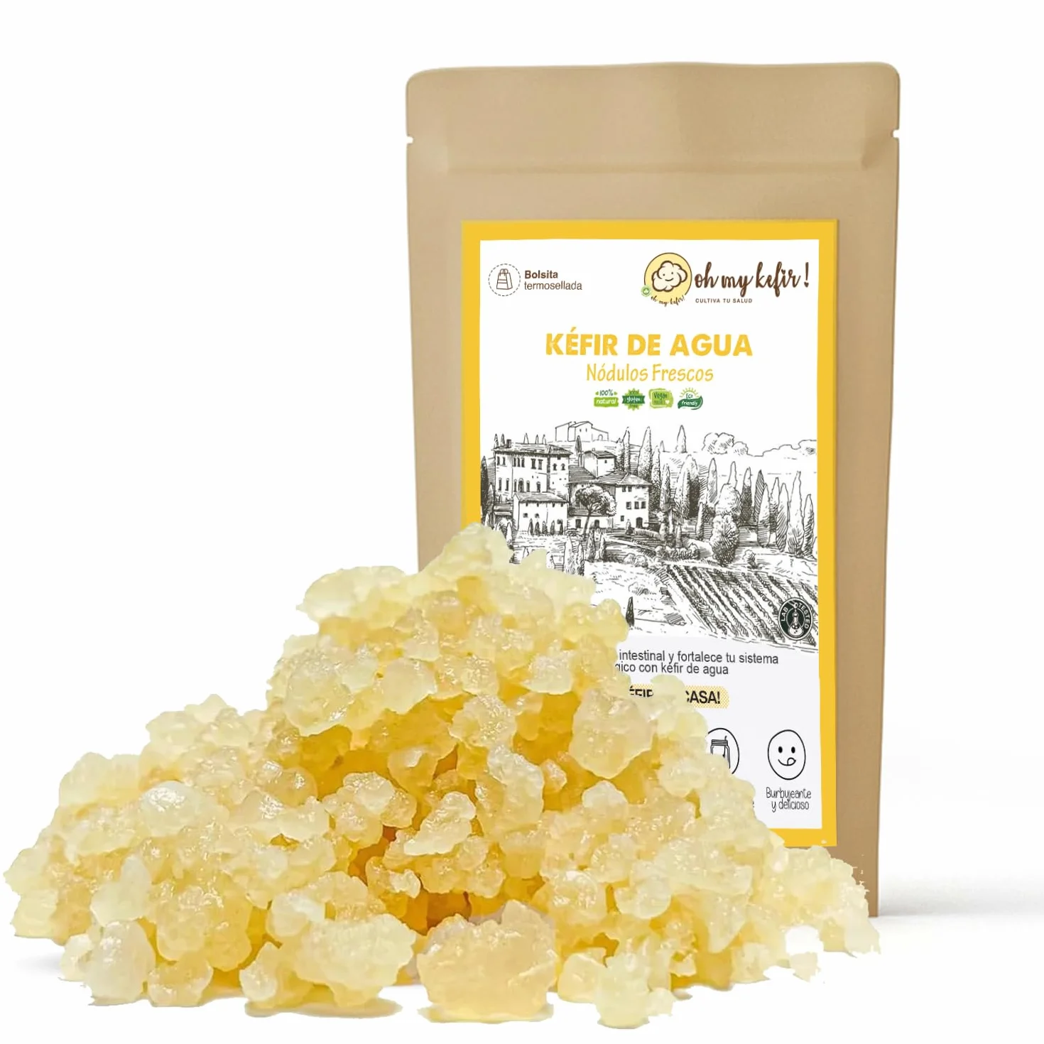 OH MY KÉFIR® Hongo/Nódulos Frescos de Kéfir de Agua 100g con Instrucciones y Recetas