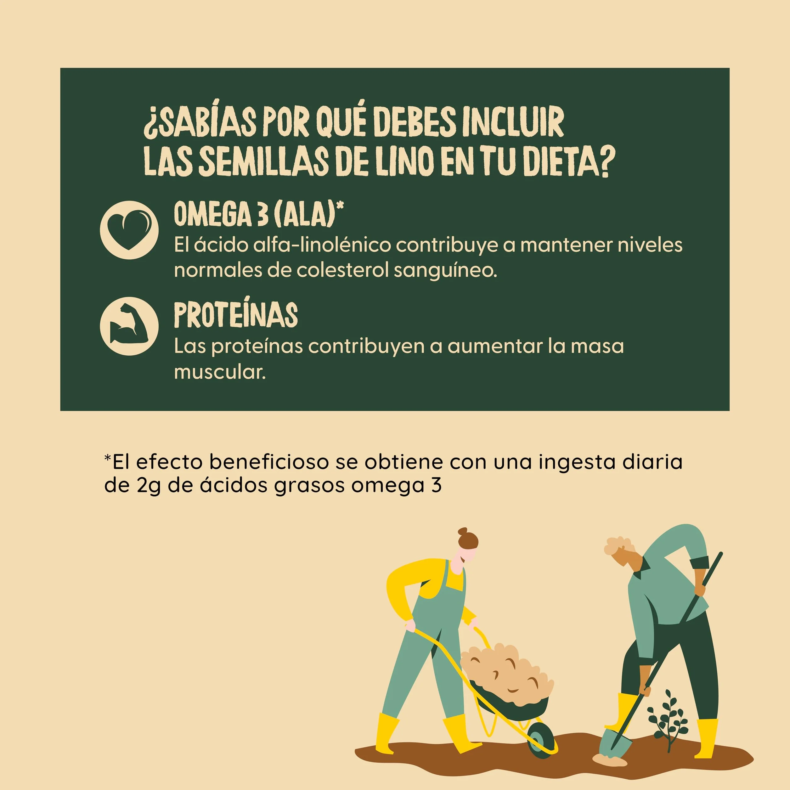 NATURCESTA ALIMENTACIÓN NATURAL - Pack de 12 Bolsas de Semillas Ecológicas de Lino de 400 g - Alto Contenido en Fibra, Omega 3, Vitamina E y Magnesio - Apto para Dieta Vegana y Paleo