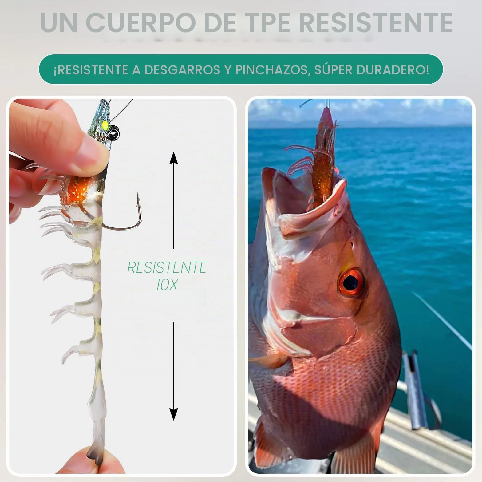 TRUSCEND Pre-Montaje de Pesca Jigs 1:50 Super Durable TPE Señuelos de Pesca Lifelike Camarón Crayfish Swimbait Weedless para Lubina Trucha Walleye