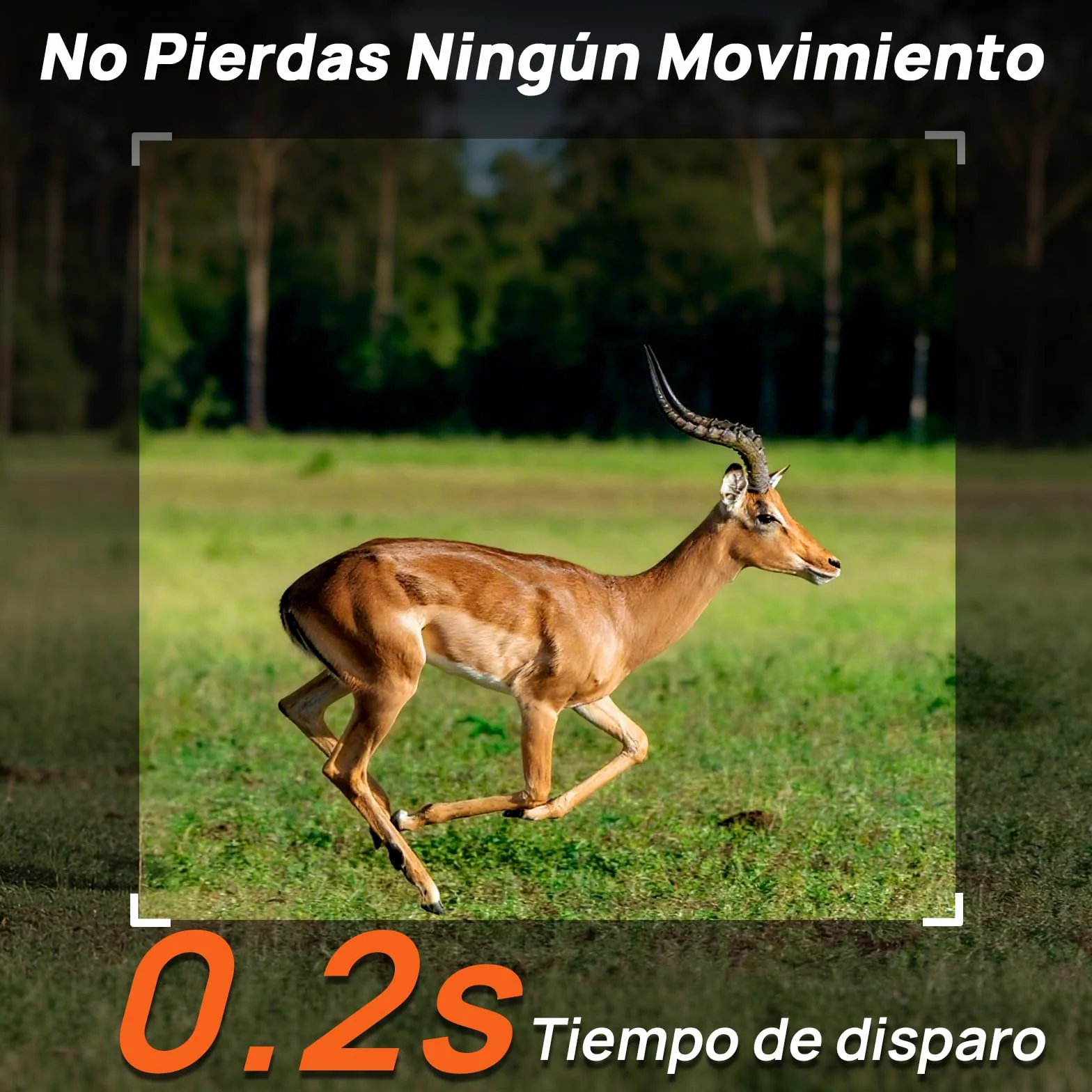 iZEEKER 2 en 1 Cámara de Caza 4G LTE 2K HD 48MP Visión Nocturna Infrarroja IP66