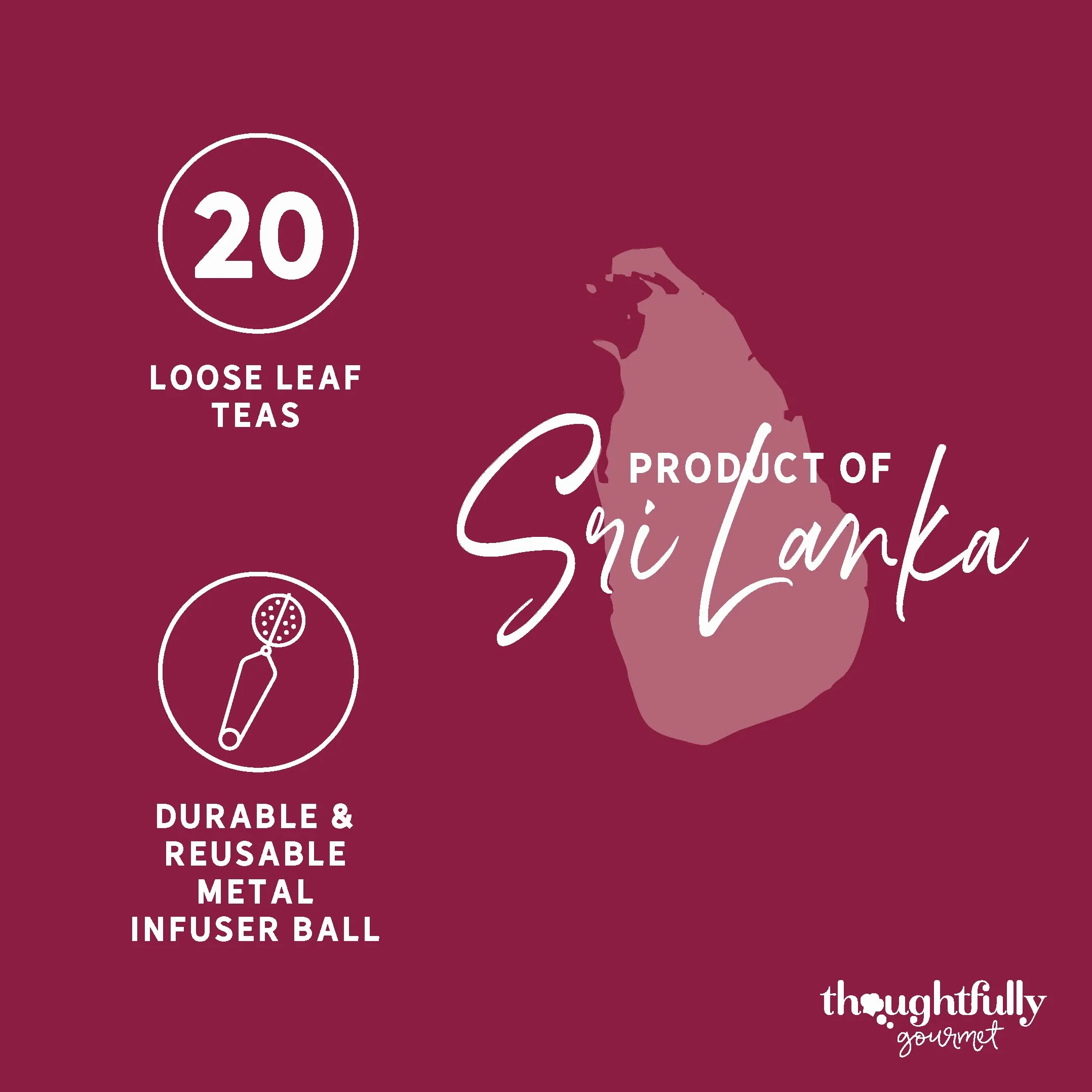 Modern Gourmet Foods, Kit de Infusión de Té de regalo, incluye 25 tés de hoja suelta de sabor único y un infusor de té, paquete de 25