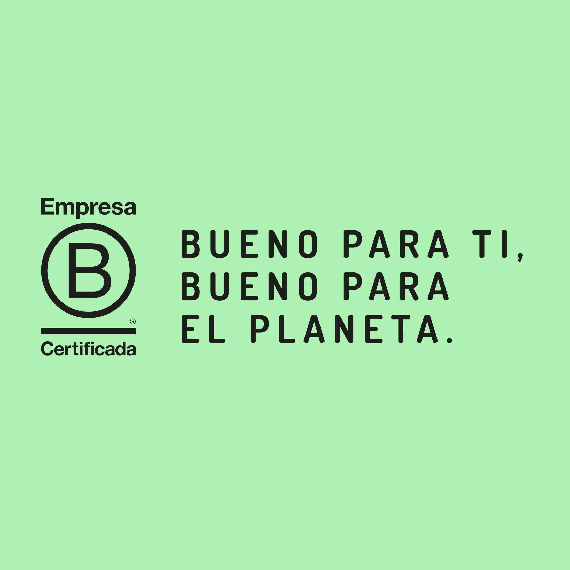 El Granero Integral - Tempeh en Conserva BIO - 380 g - Carne Vegetal de Soja Fermentada y Shoyu - Alimento Rico en Fibra y Proteínas - Apto para Veganos