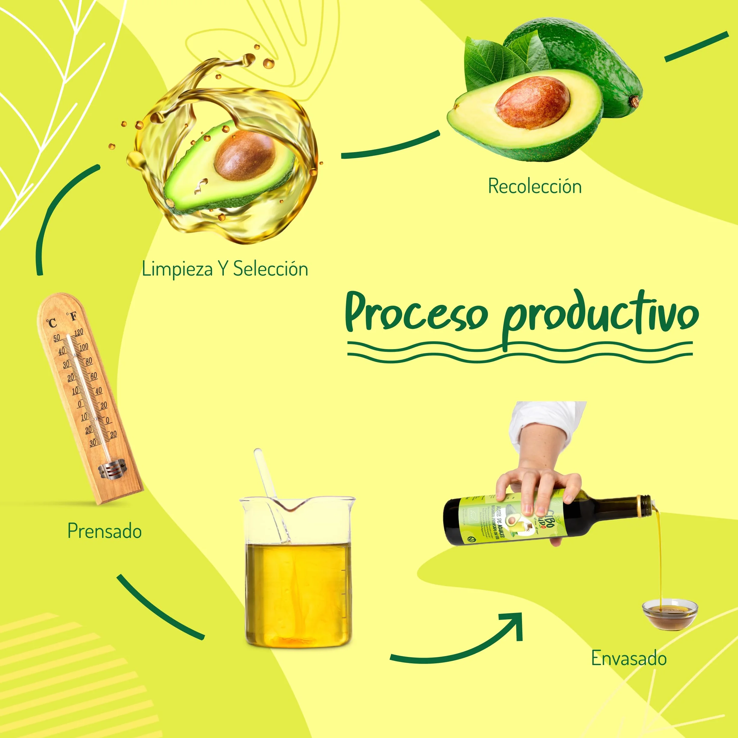 Aceite de Aguacate para Cocinar Orgánico - 500ml. Aceite Aguacate Orgánico 100% Puro y Sin Refinar. Aceite de Aguacate Orgánico Prensado en Frío. Ideal para Cocinar, Condimentar y Marinar. Avocado Oil