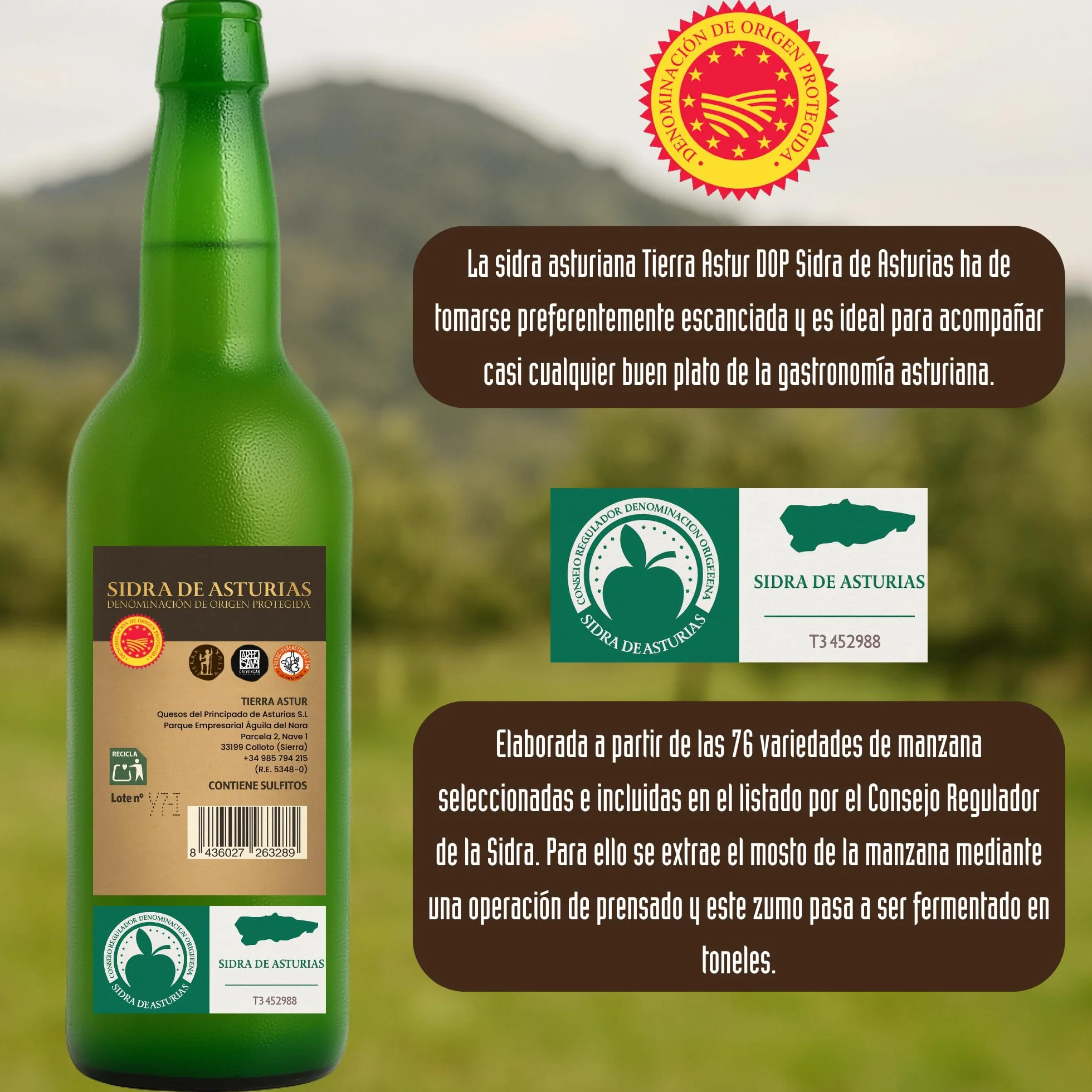 Sidra Asturiana DOP | Pack 6 Botellas 70 cl de Sidra Asturiana – 100% Manzana de Asturiana, 6% Vol