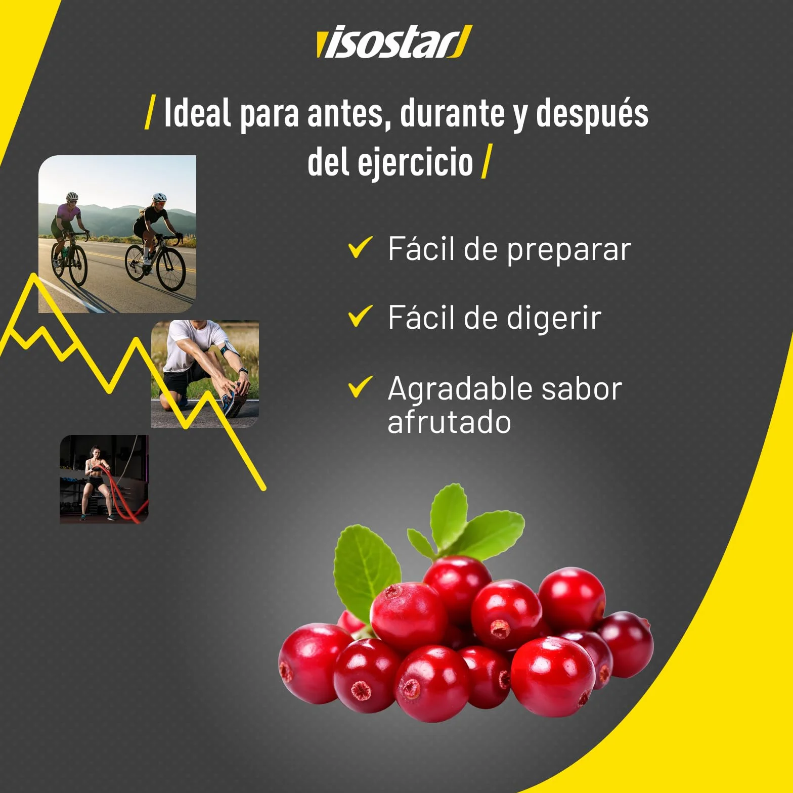 Isostar Hydrate & Perform - 1,5 kg de Bebida Electrolítica Isotónica - Solución Electrolítica para Mejorar el Rendimiento Deportivo – Sabor Arándanos, 1,5 kg (Paquete de 1)