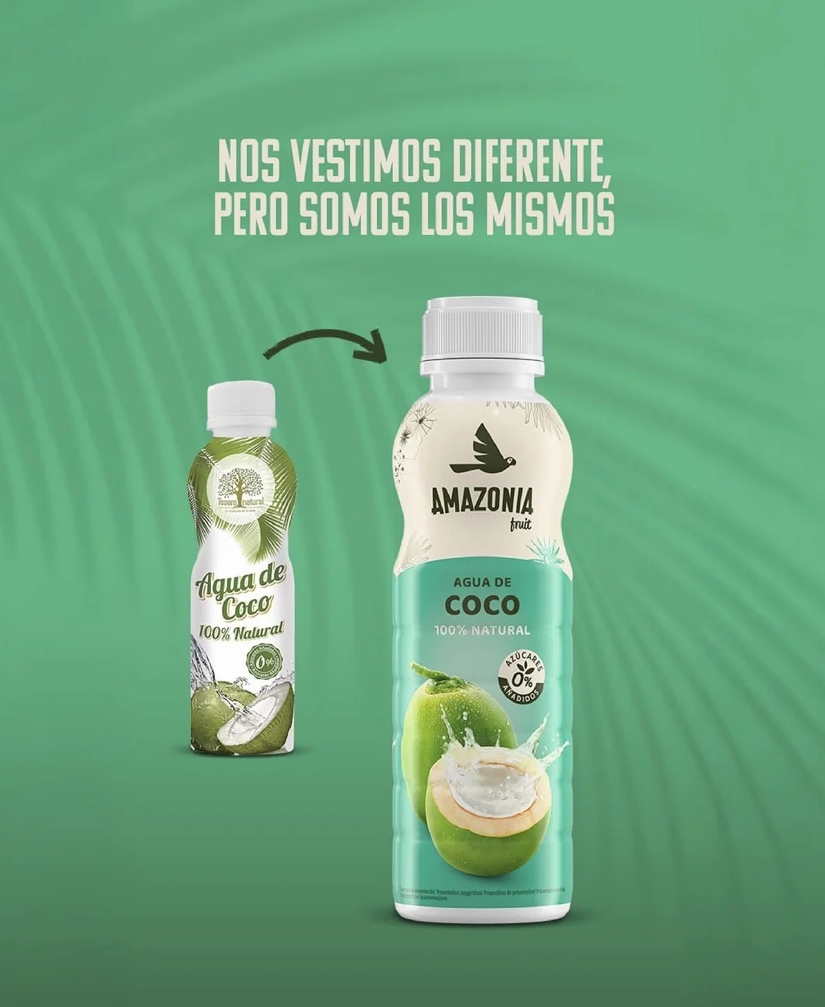 Tesoro Natural Agua de Coco 100% Natural, 12 Latas, 500 ml