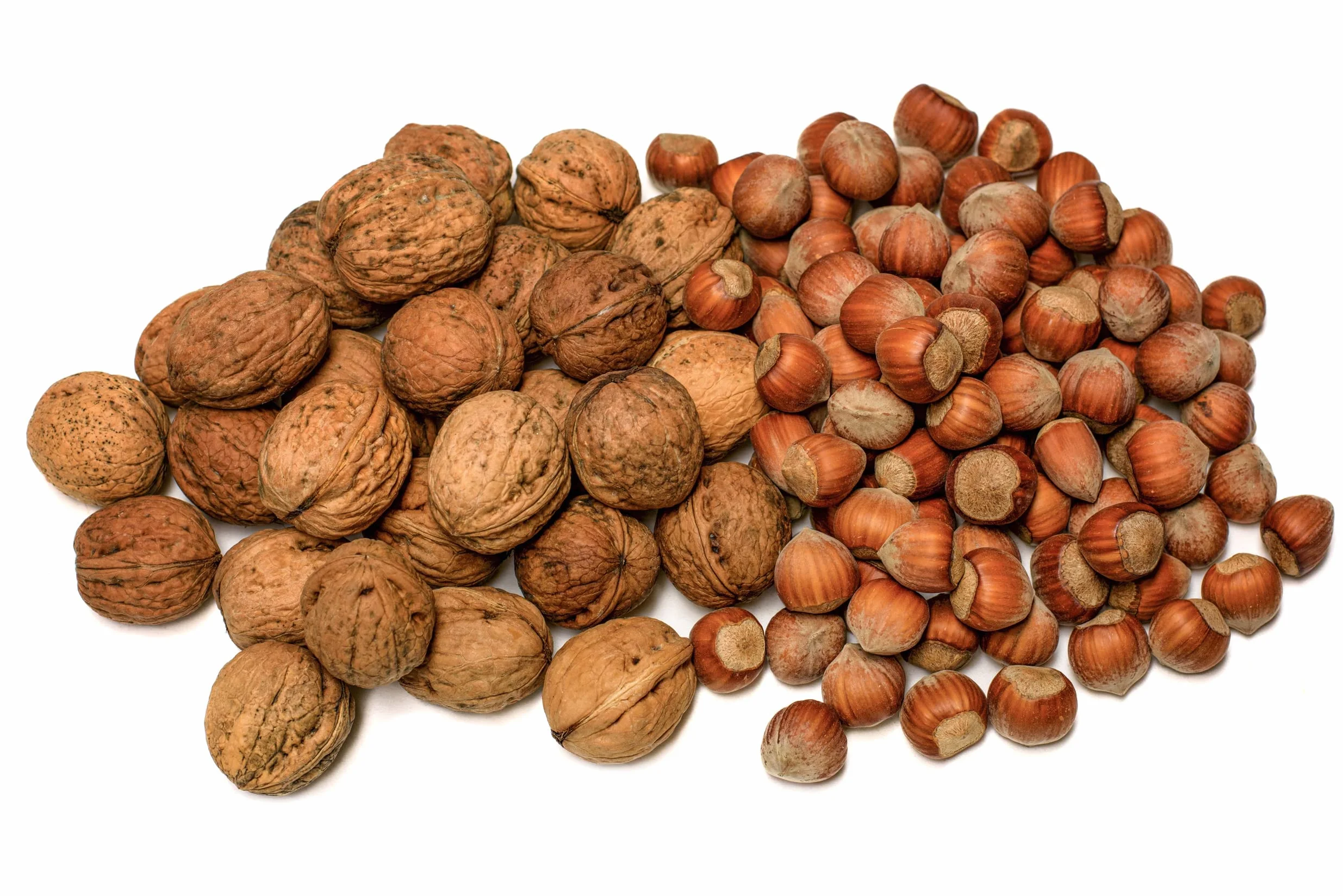 IGART Nueces 2kg + Avellanas 2kg, MIX, Natural, Sabroso, OMEGA-3, Cosecha 2024, Deliciosas Nueces Maduras