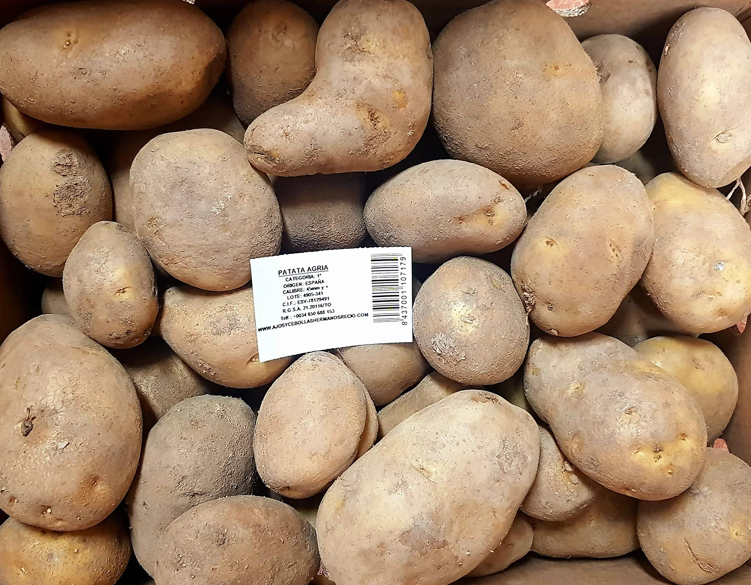 Ajos y Cebollas Hnos. Recio SAT 6300 40 kg. Patata Agria / Especial para Freir - Selección Gourmet