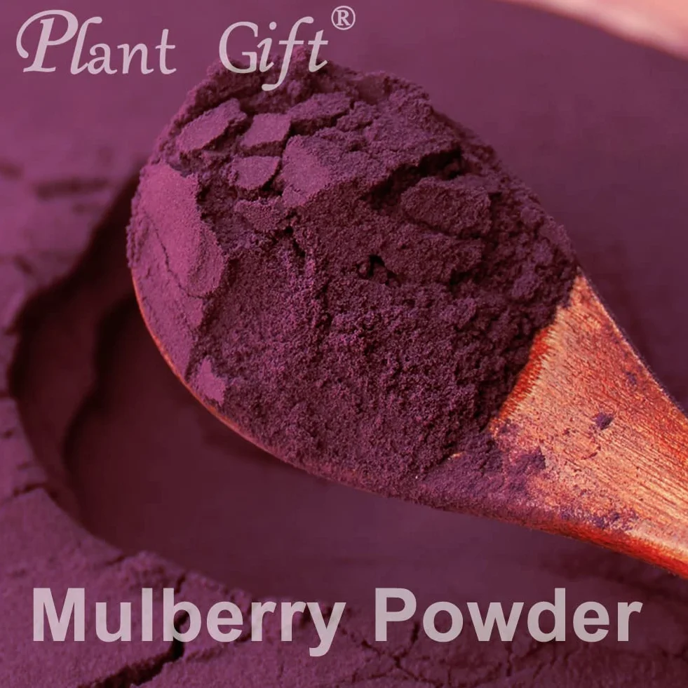 Plant Gift 100% Pure Mulberry Powder 桑葚粉 Polvo dietético natural, excelente sabor para bebidas, batidos y bebidas, polvo no GM - sin relleno, sin aditivos, yogur y más 100g / 3.25o