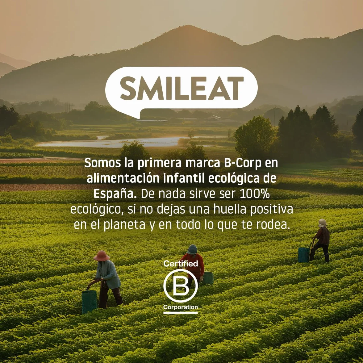 Smileat Tarritos de Lenteja Roja con Quinoa Ecológico Sin Azúcar Añadido Pack 4 x 230g 920g